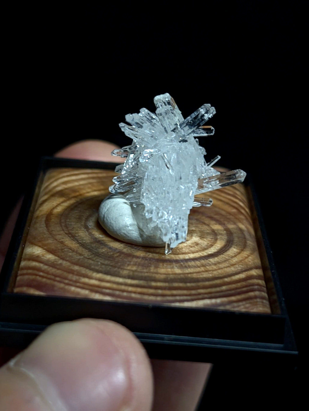 Clear quartz crystal cluster mounted on a polished wooden base.