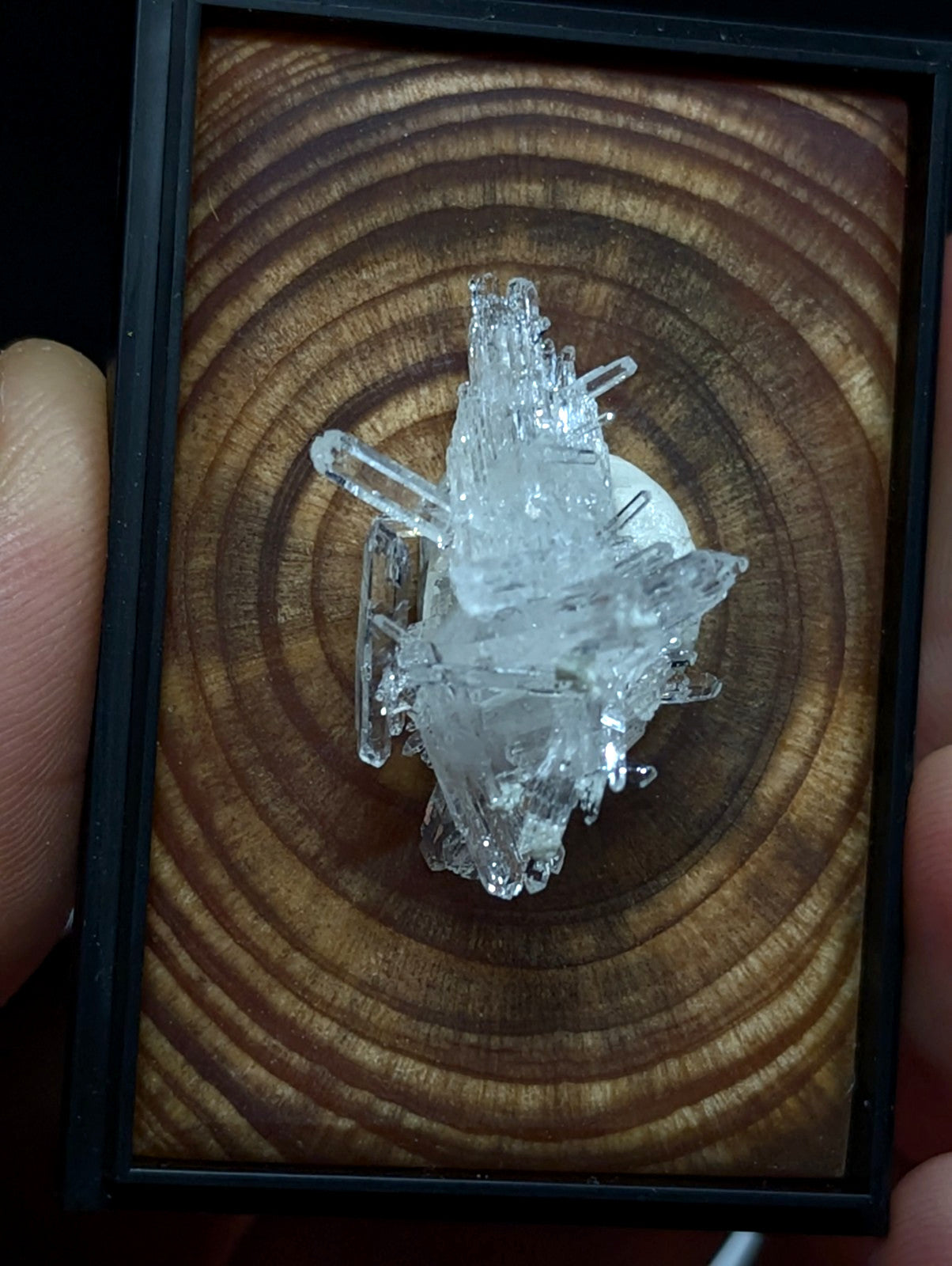 Clear quartz crystal cluster displayed in a black-framed wooden panel.