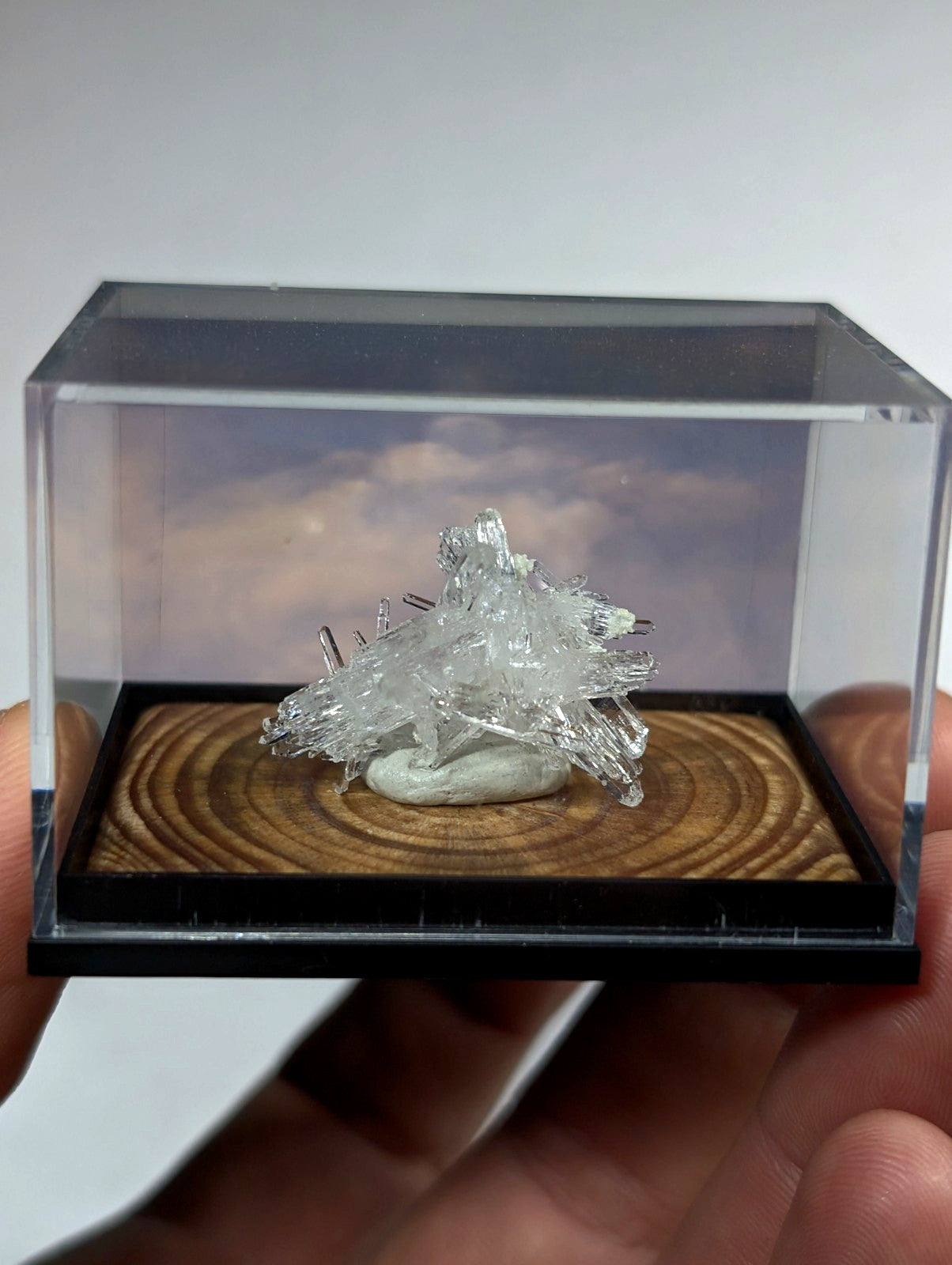 A clear, intricate crystal formation displayed in a transparent acrylic display case.