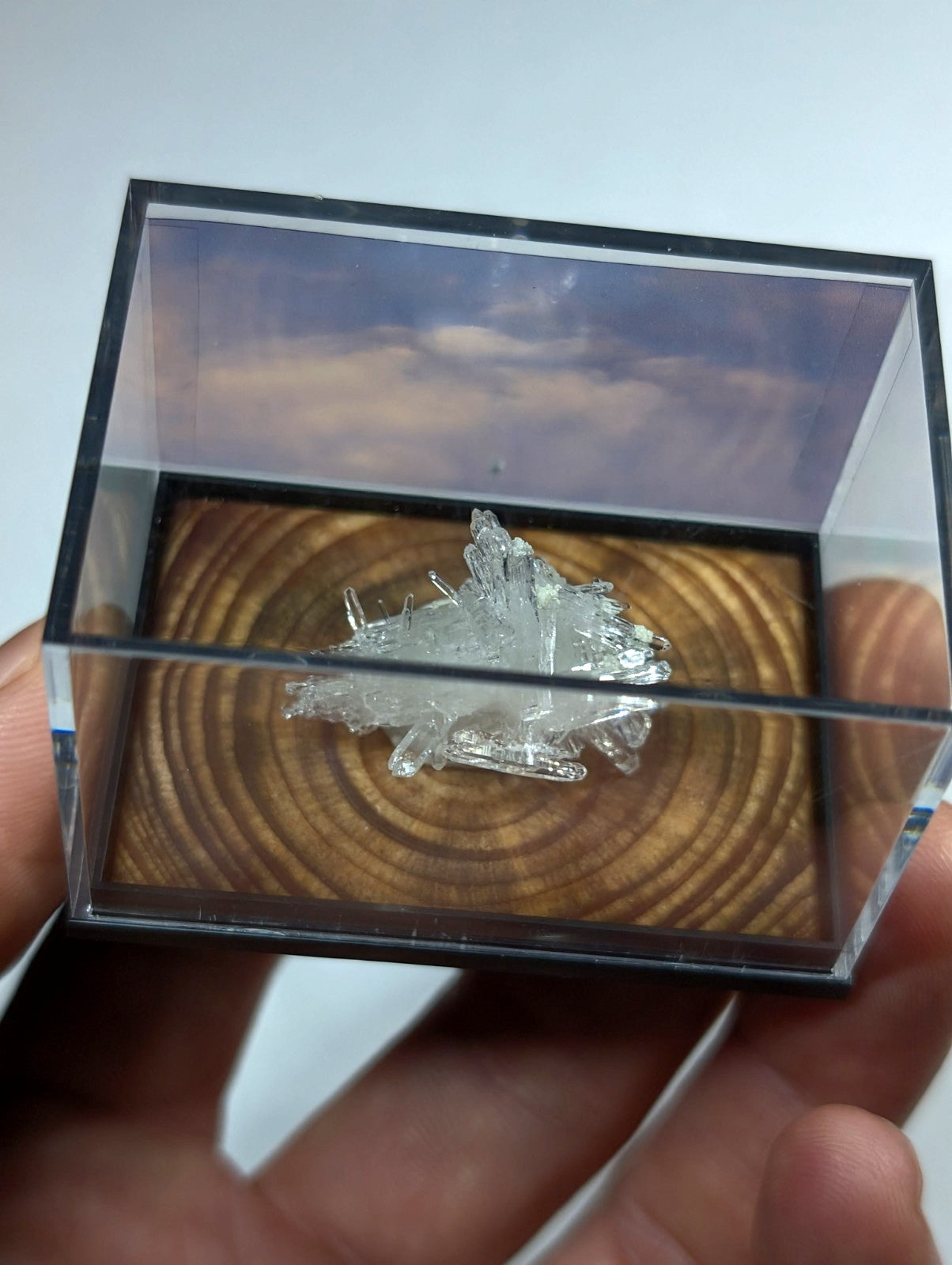透明水晶簇被精心陈列在一个带有木质底座的方形玻璃展示盒中。