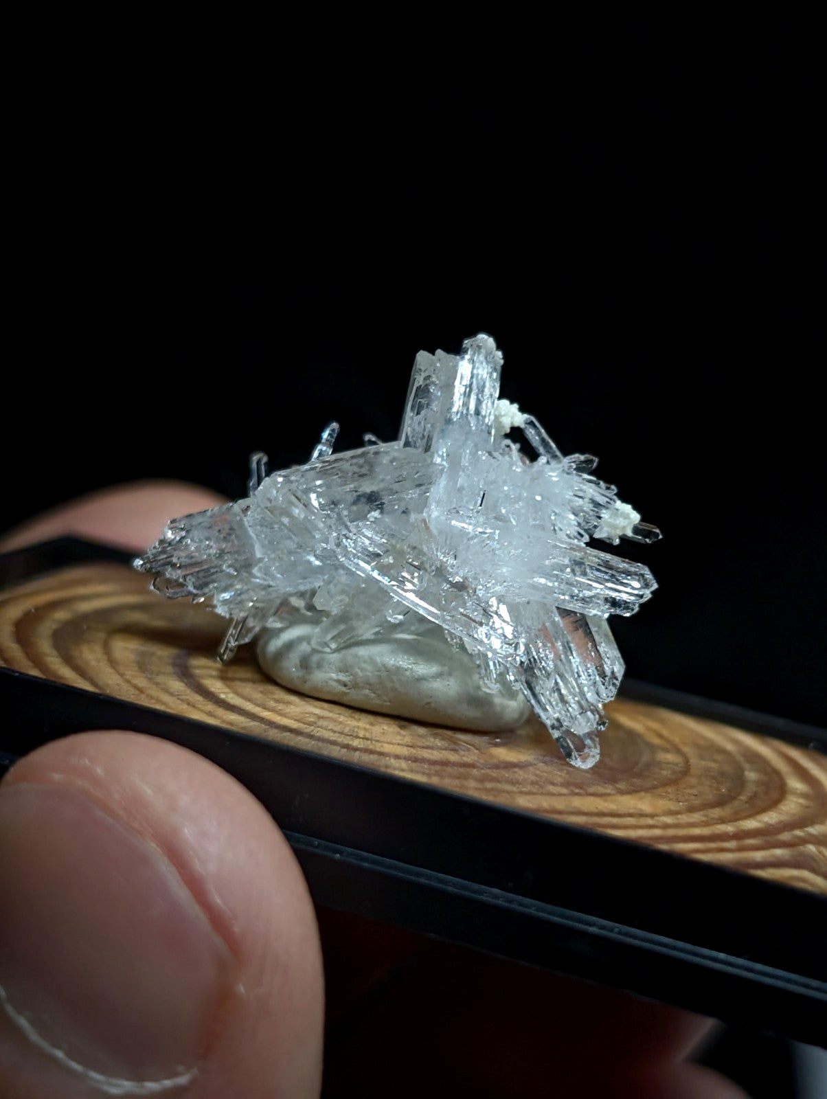 A clear, translucent crystal cluster with sharp, jagged edges and a natural, earthy base.