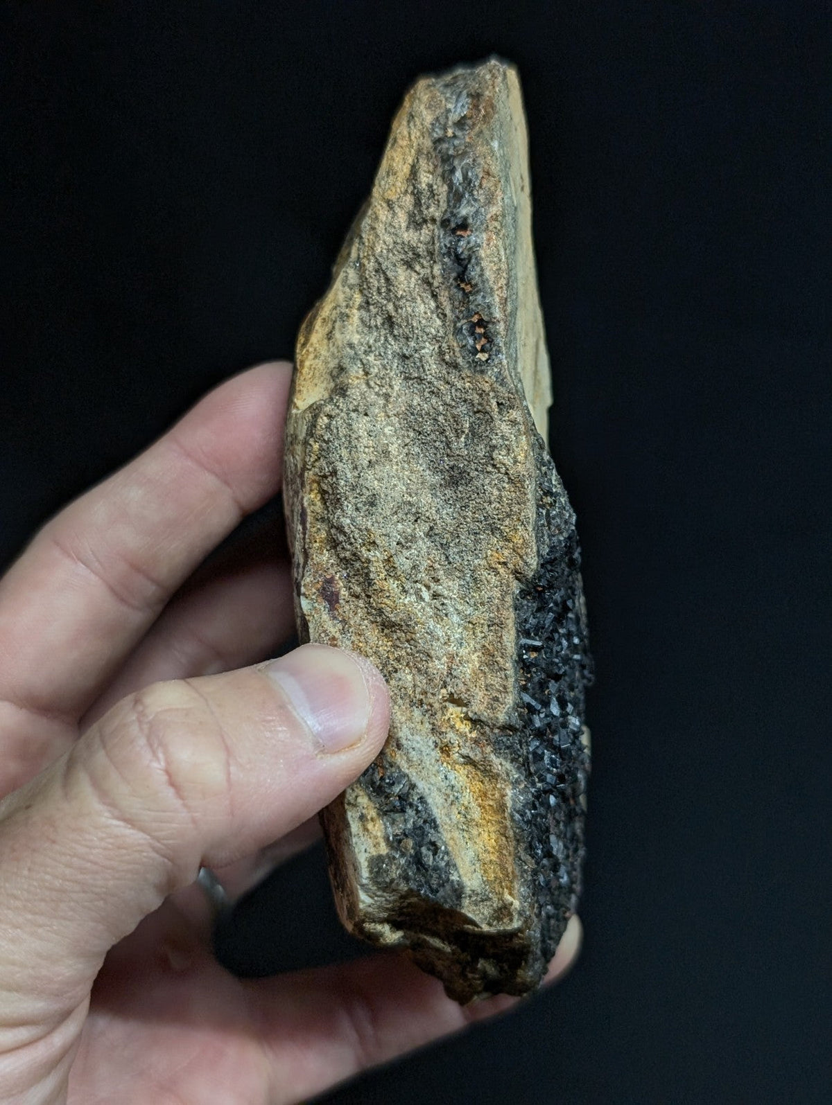 A rugged, irregularly shaped stone with a mottled surface of earthy browns and blacks.