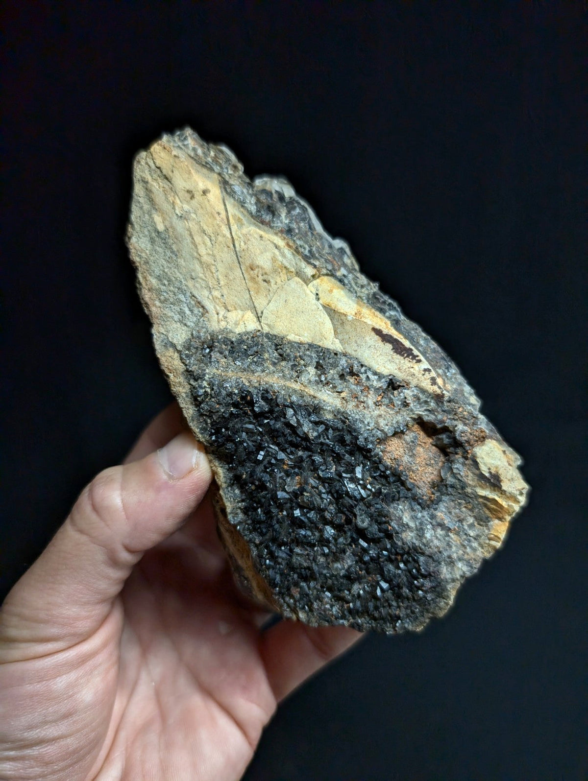 A hand holds a rough, irregularly shaped geological specimen featuring dark black crystals densely clustered on one side and lighter tan to gray rock with visible striations on the other.