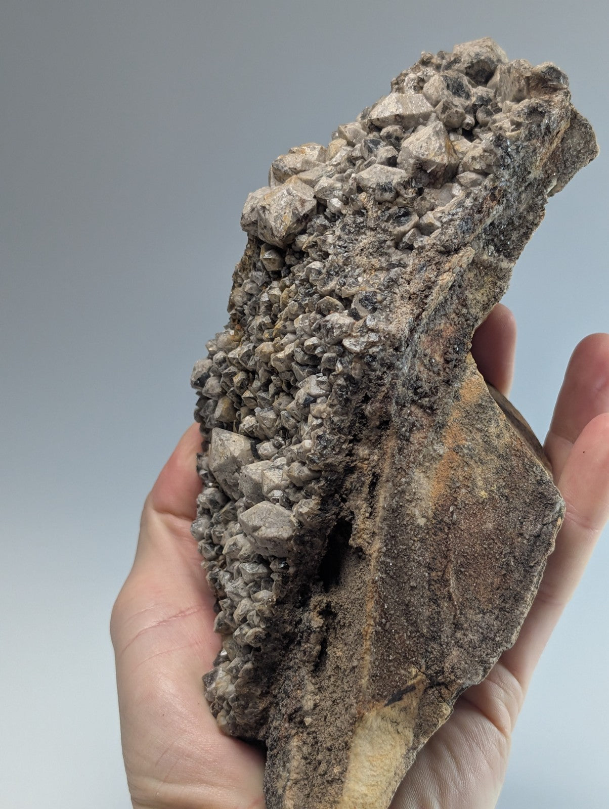 A hand holds a rough, irregularly shaped geological specimen featuring dense clusters of small grayish crystals growing from a darker brown rock base.