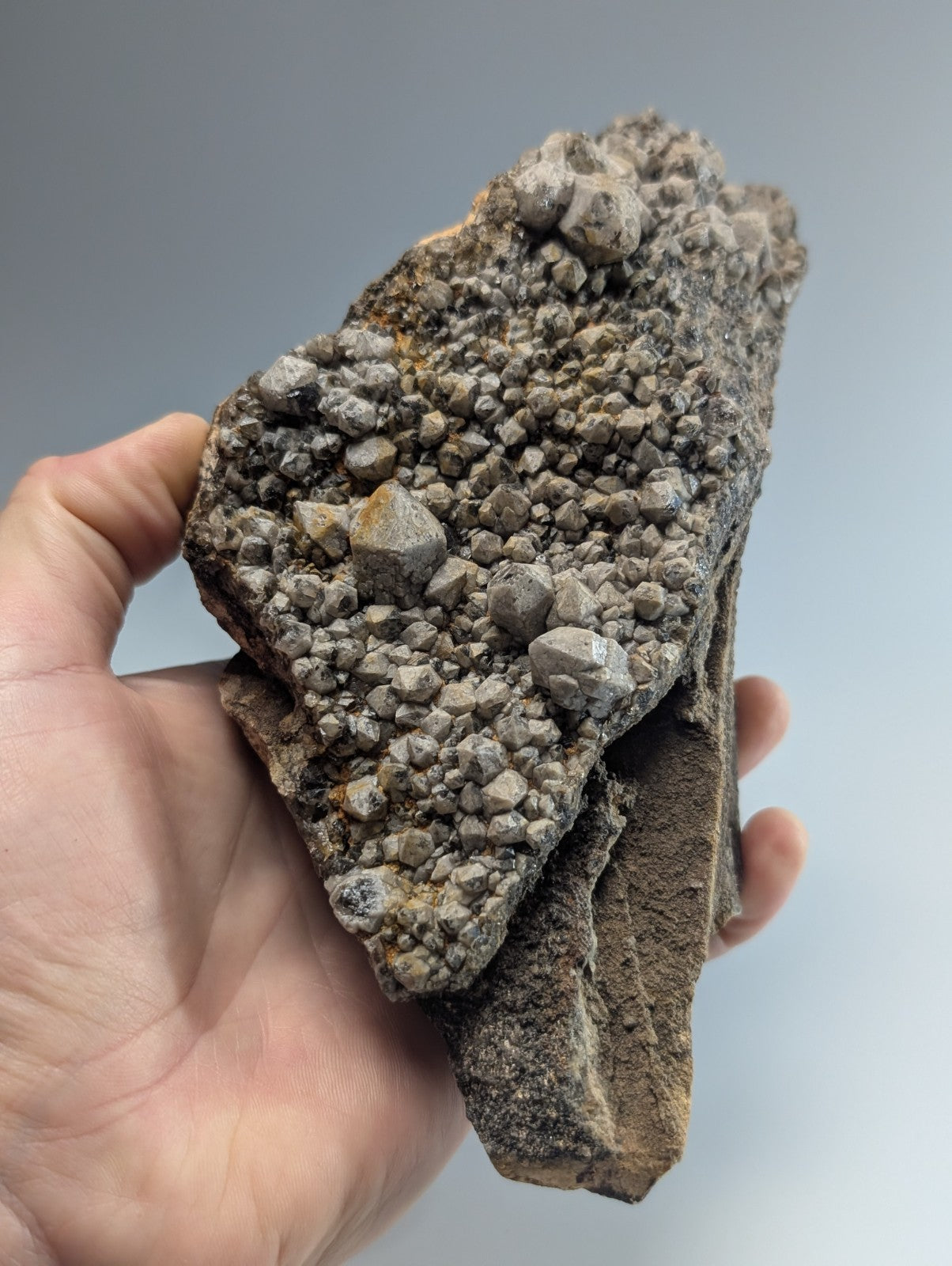 A hand holds a rough, irregularly shaped geological specimen featuring numerous small, rounded grayish-brown crystals clustered densely across its surface.