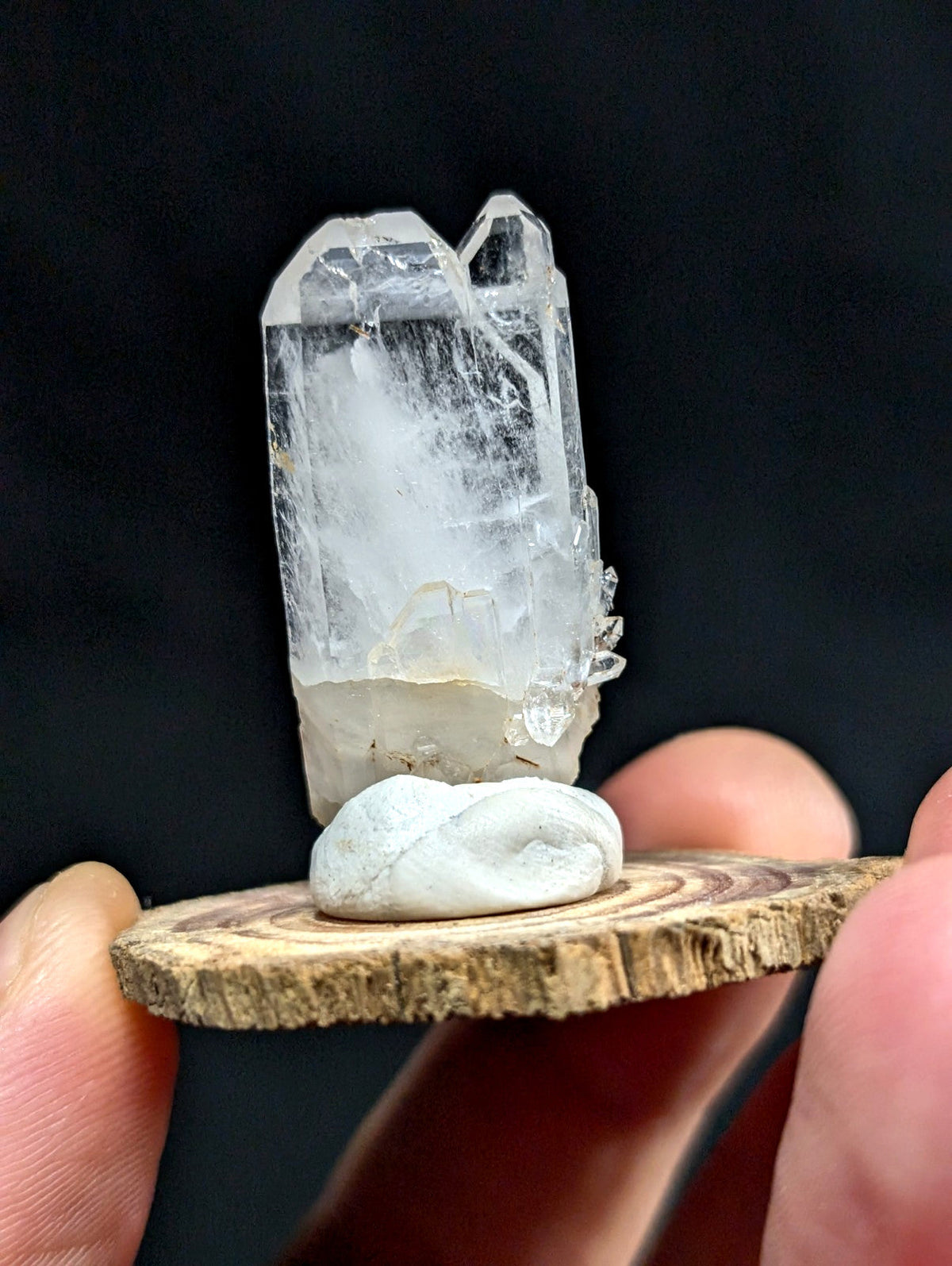 A translucent, clear quartz crystal with a rough, natural base and sharp facets stands upright on a small white stone atop a rustic wooden slice.
