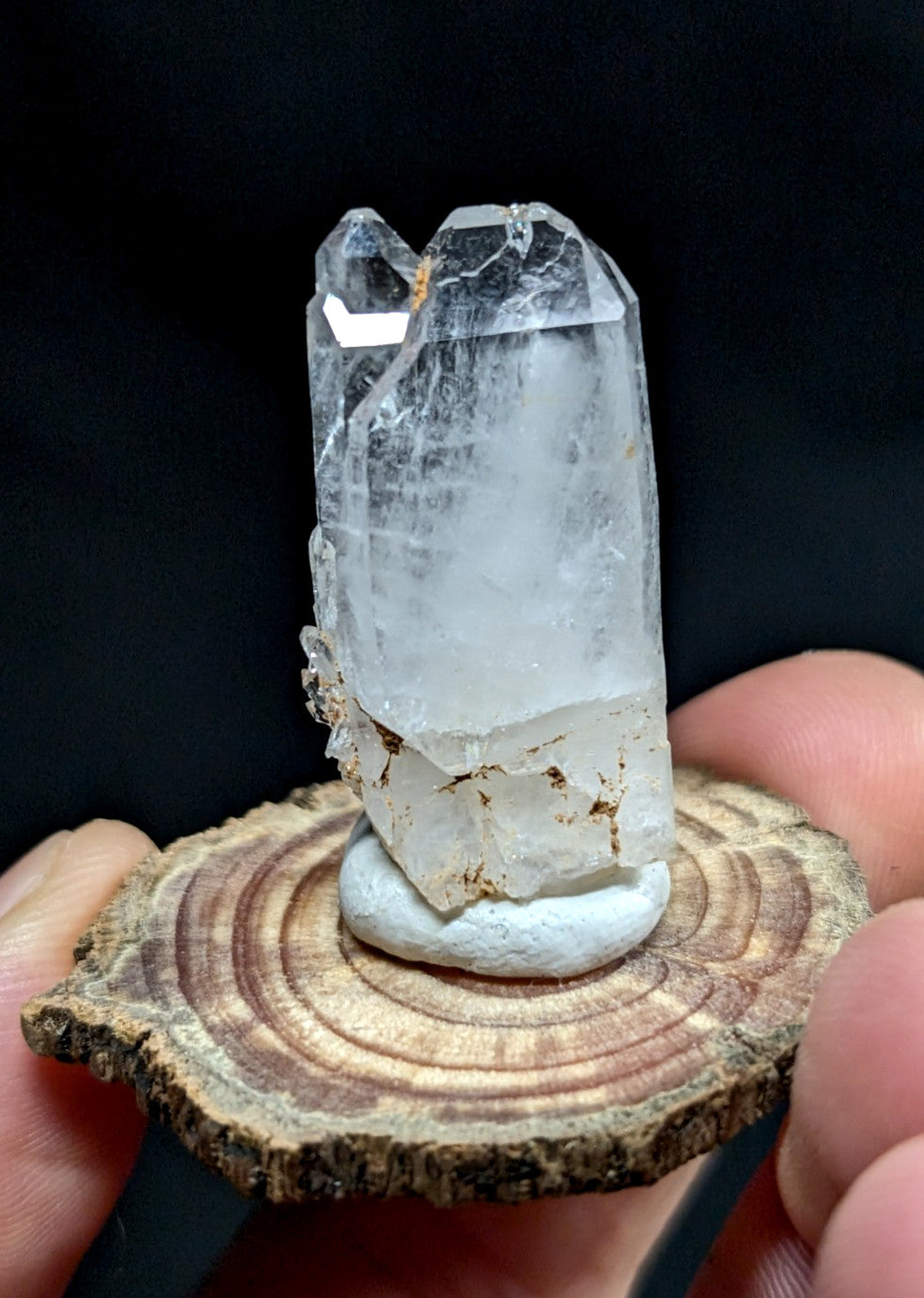A clear quartz crystal with a faceted, transparent body and natural inclusions sits atop a white base on a rustic wooden slice.