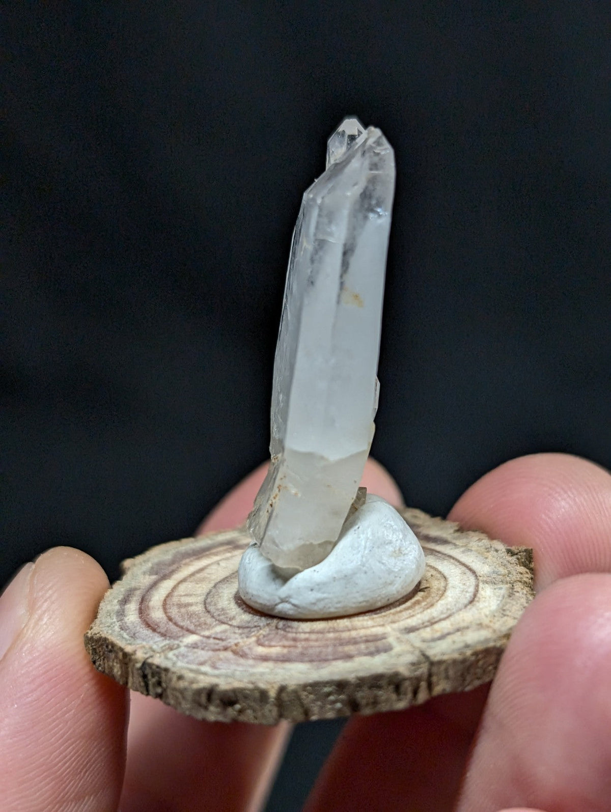 A clear quartz crystal with a pointed tip, standing upright on a small white base that rests upon a circular wooden slice.