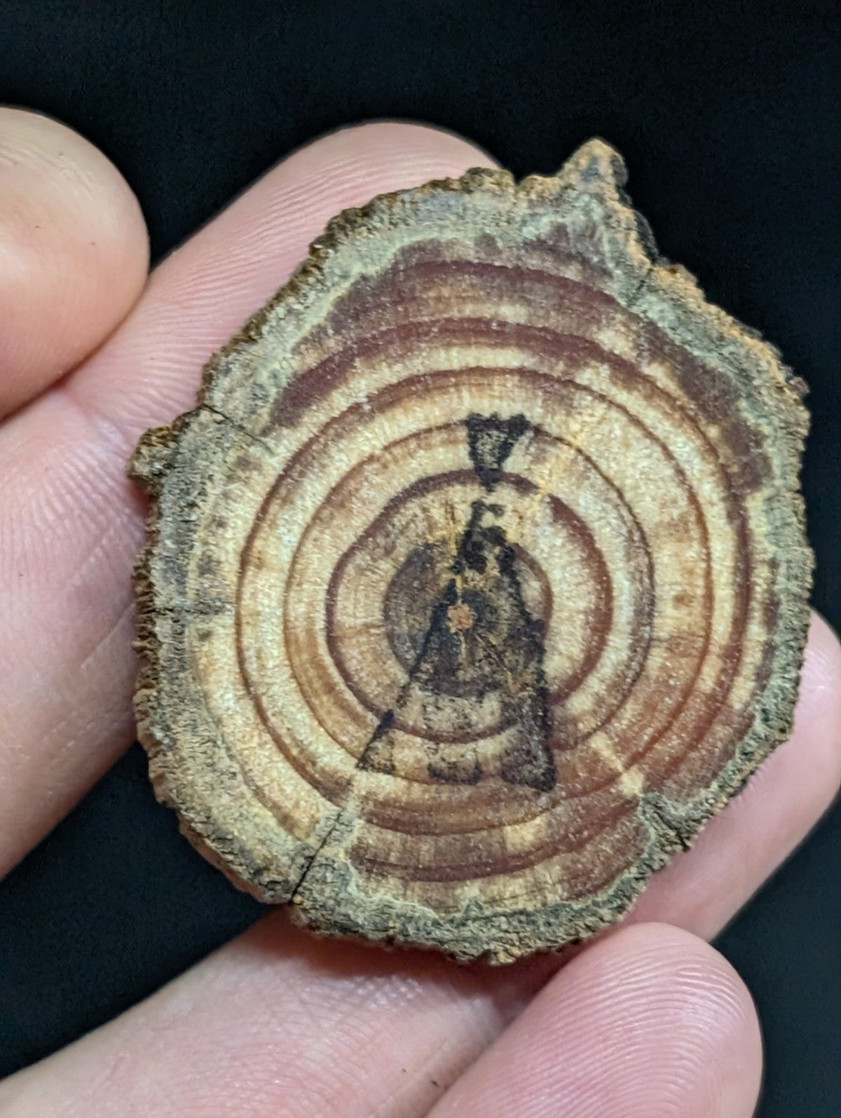A rustic, circular wooden slice with concentric growth rings and a darkened central figure etched into its surface.