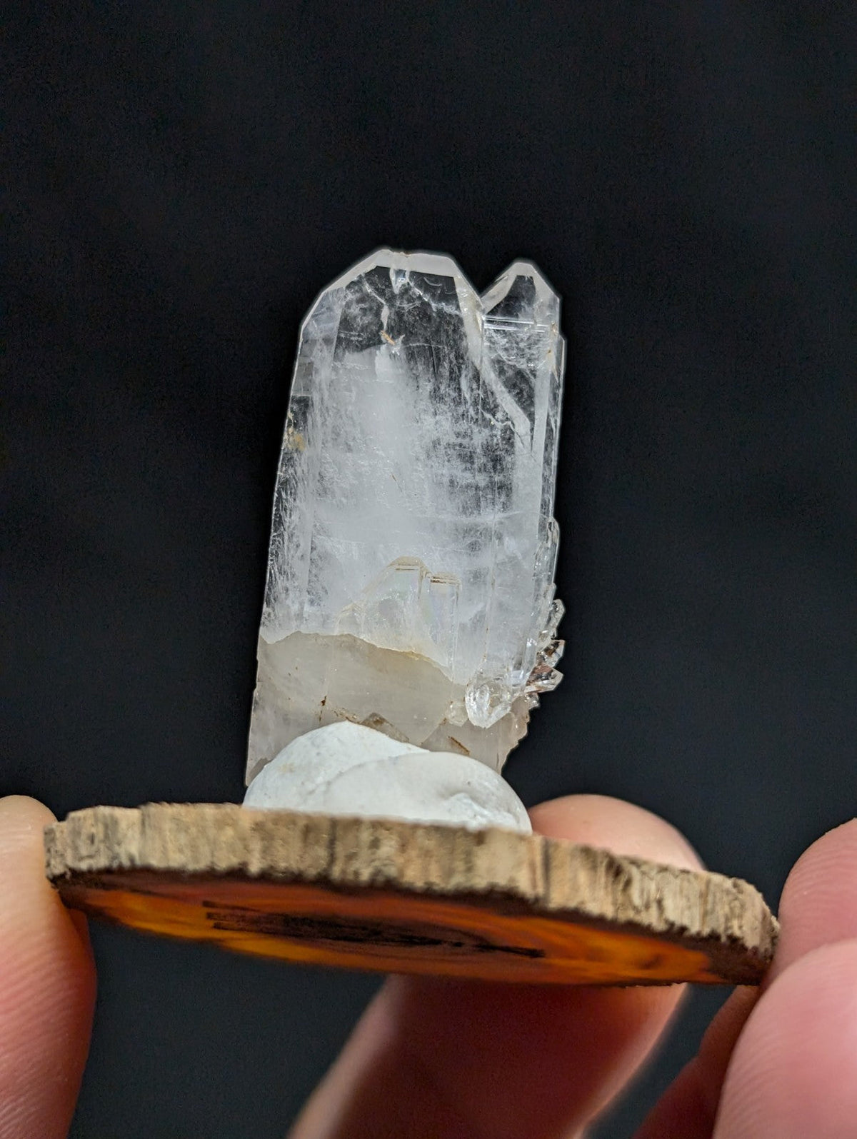 A clear, translucent quartz crystal with a pointed tip and natural facets stands upright on a circular wooden base.
