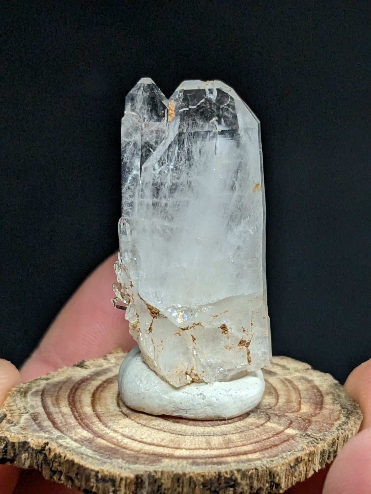 A translucent, clear quartz crystal with natural inclusions and a rough base rests on a circular wooden slice.