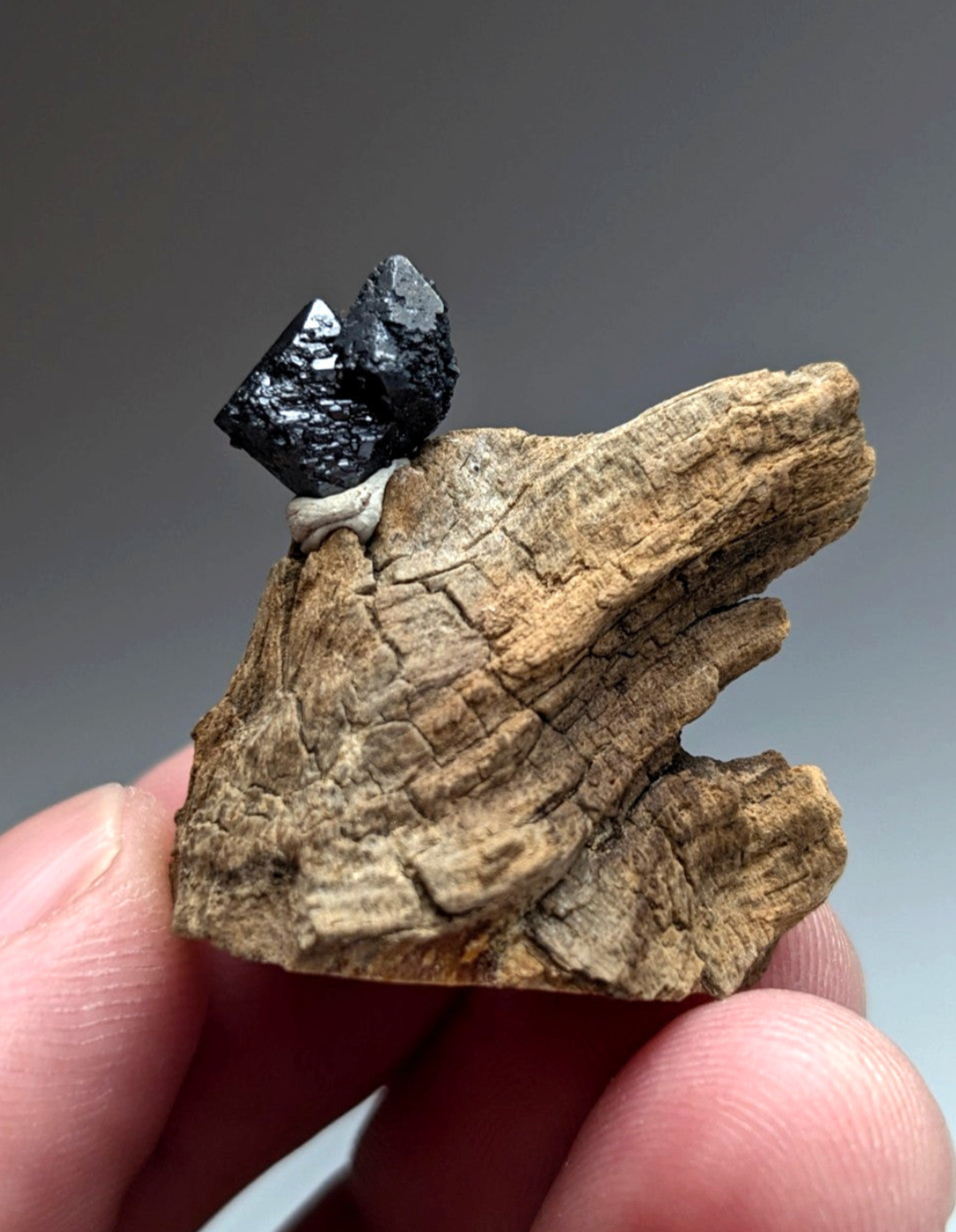 Custom listing for cathy featuring a dark faceted mineral specimen on a textured light brown wooden base