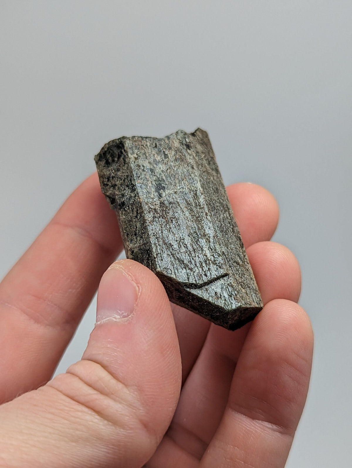 A dark gray, rough-textured mineral fragment with a jagged edge and subtle striations.