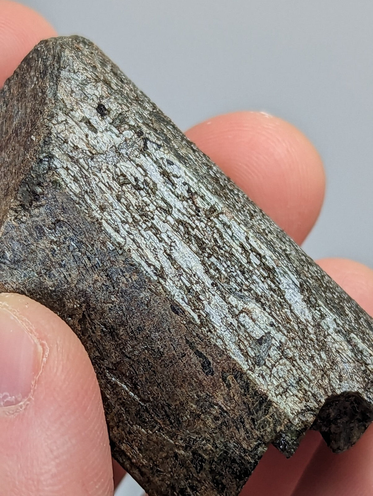 A dark, rough-textured mineral specimen with a metallic sheen and intricate crystalline patterns.