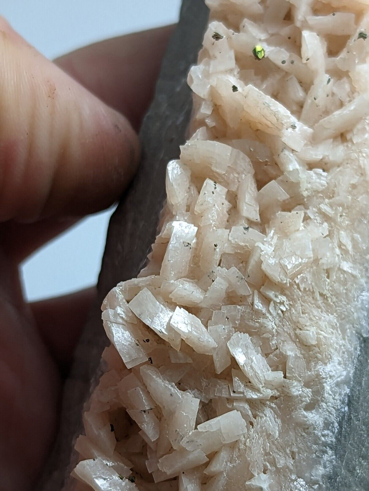 Dolomite with Chalcopyrite Rare Old Stock Black Rock Lawrence Co. Arkansas - Collectibles:Rocks Fossils &