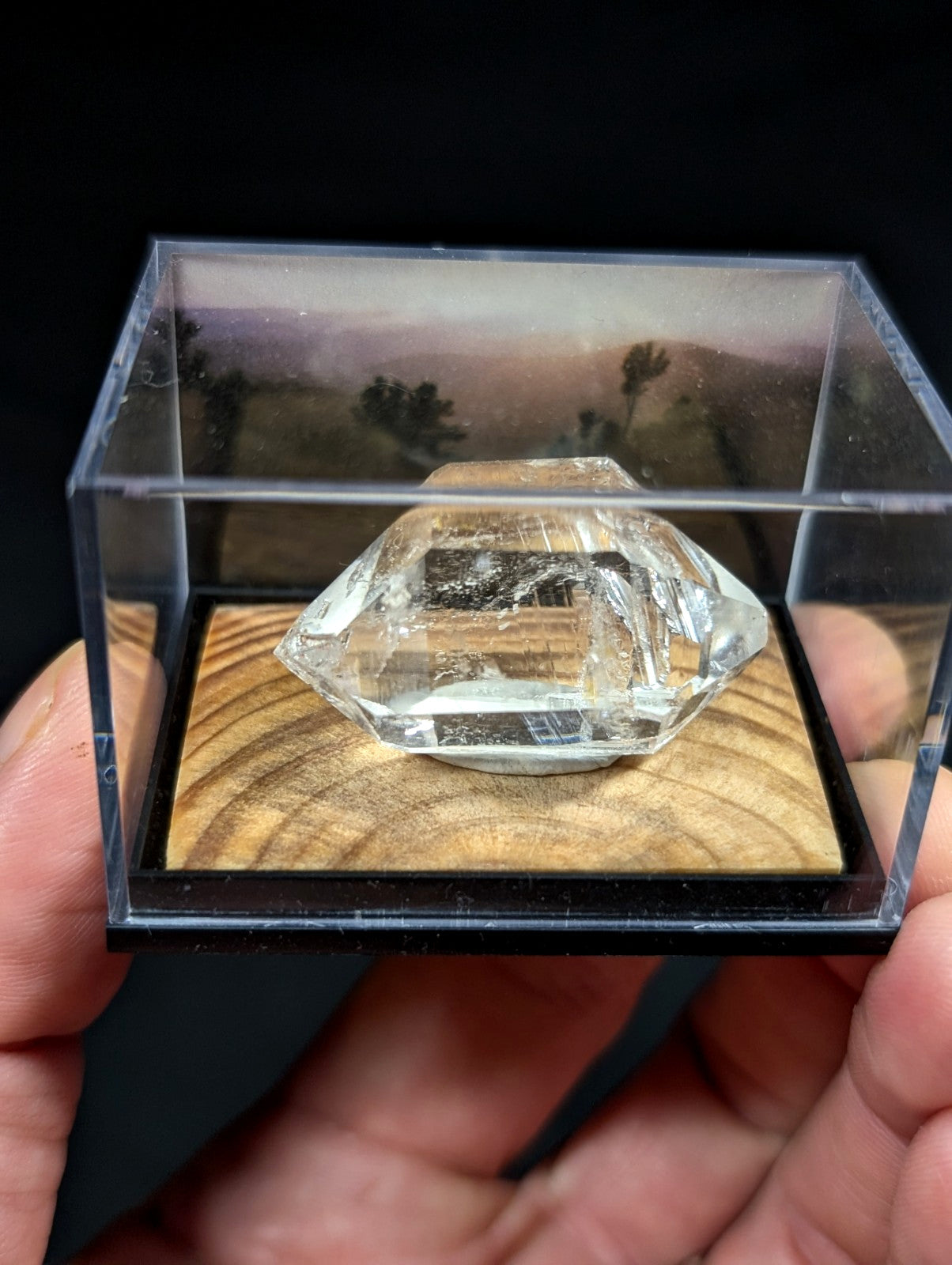 A clear, faceted quartz crystal with natural inclusions rests inside a transparent display case.