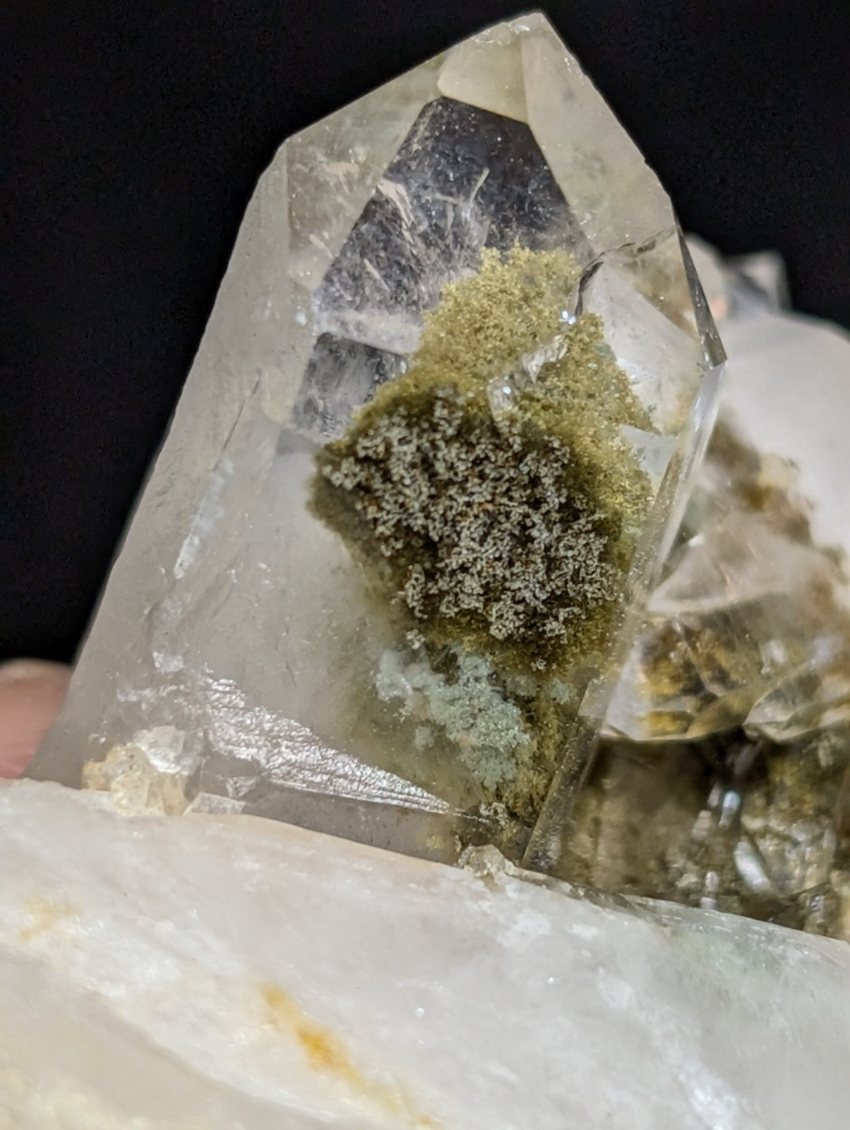 A clear quartz crystal with a greenish, moss-like mineral growth inside its transparent structure.