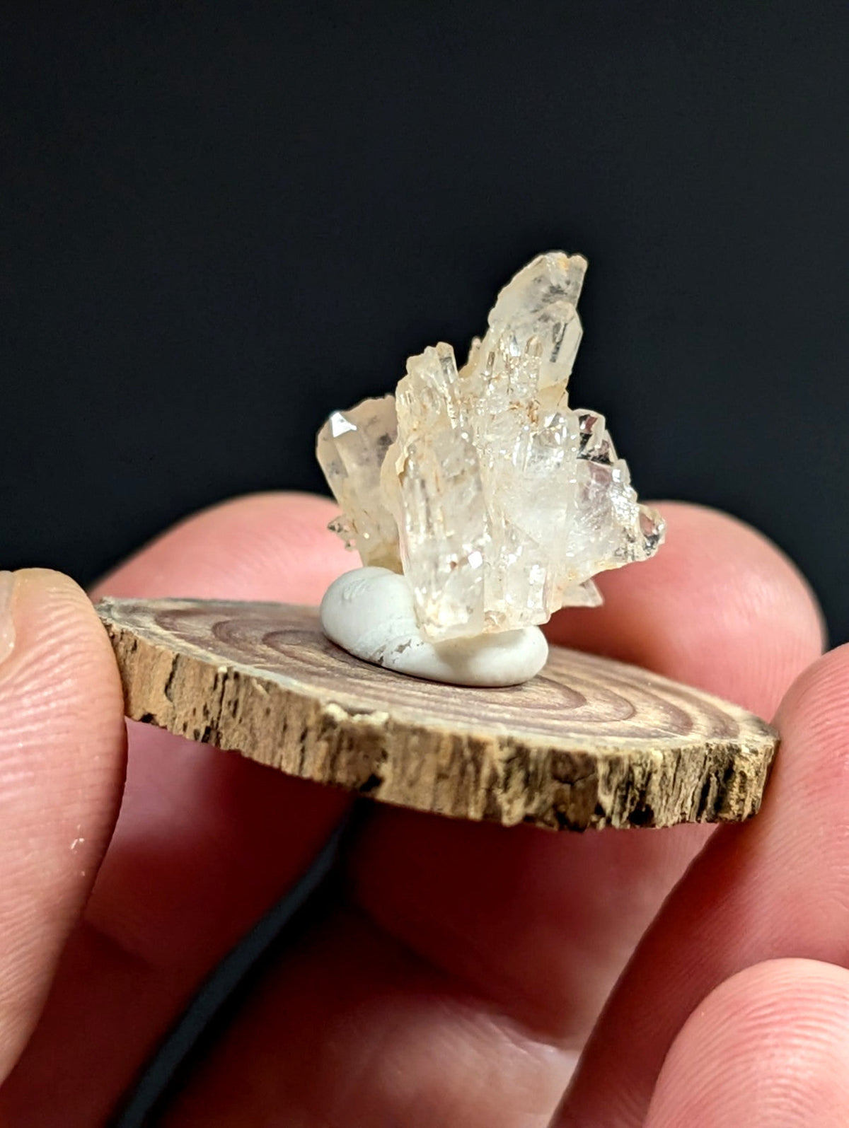 Faden quartz crystal cluster with sharp translucent facets on a smooth white stone base from montgomery county arkansas