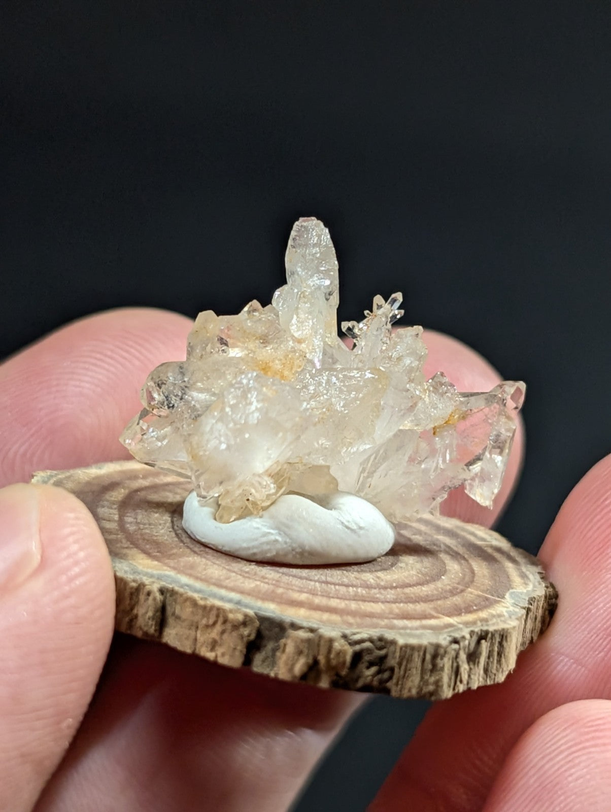 A translucent crystalline faden quartz crystal cluster with delicate branching on a smooth white stone base from montgomery county arkansas
