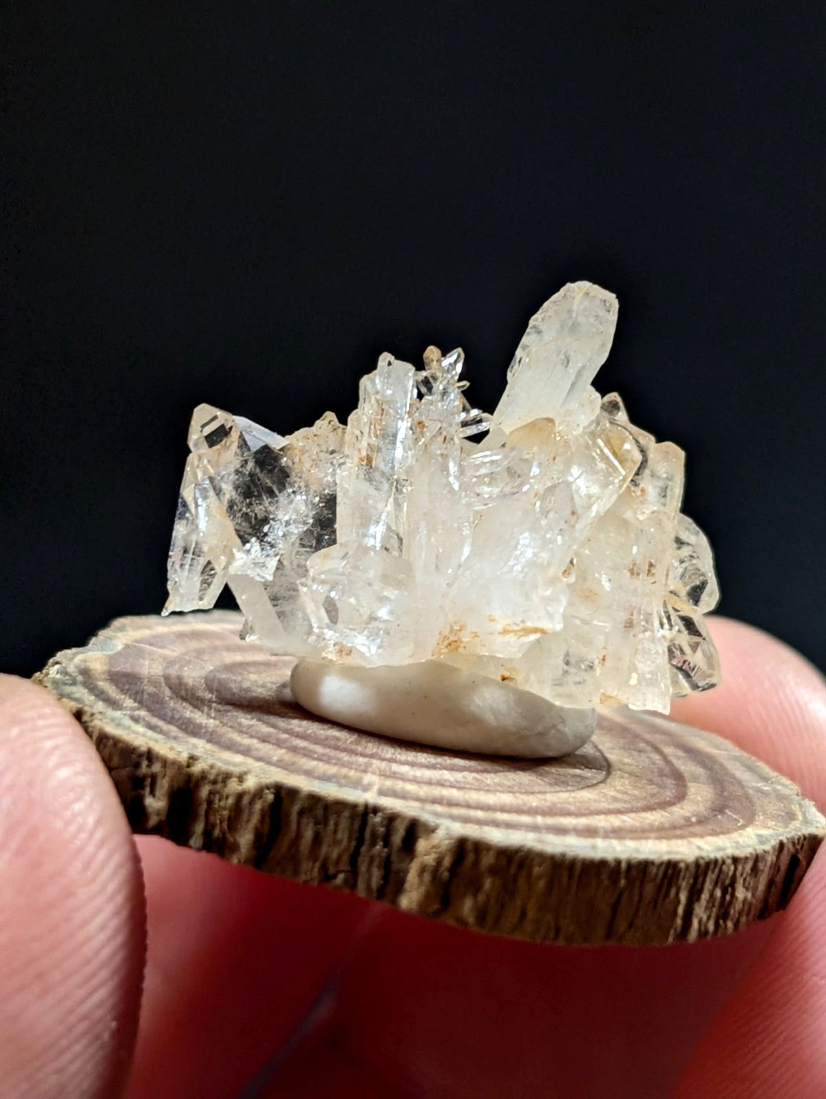 Faden quartz crystal cluster with sharp translucent points on natural base resting on rustic wooden slice from arkansas