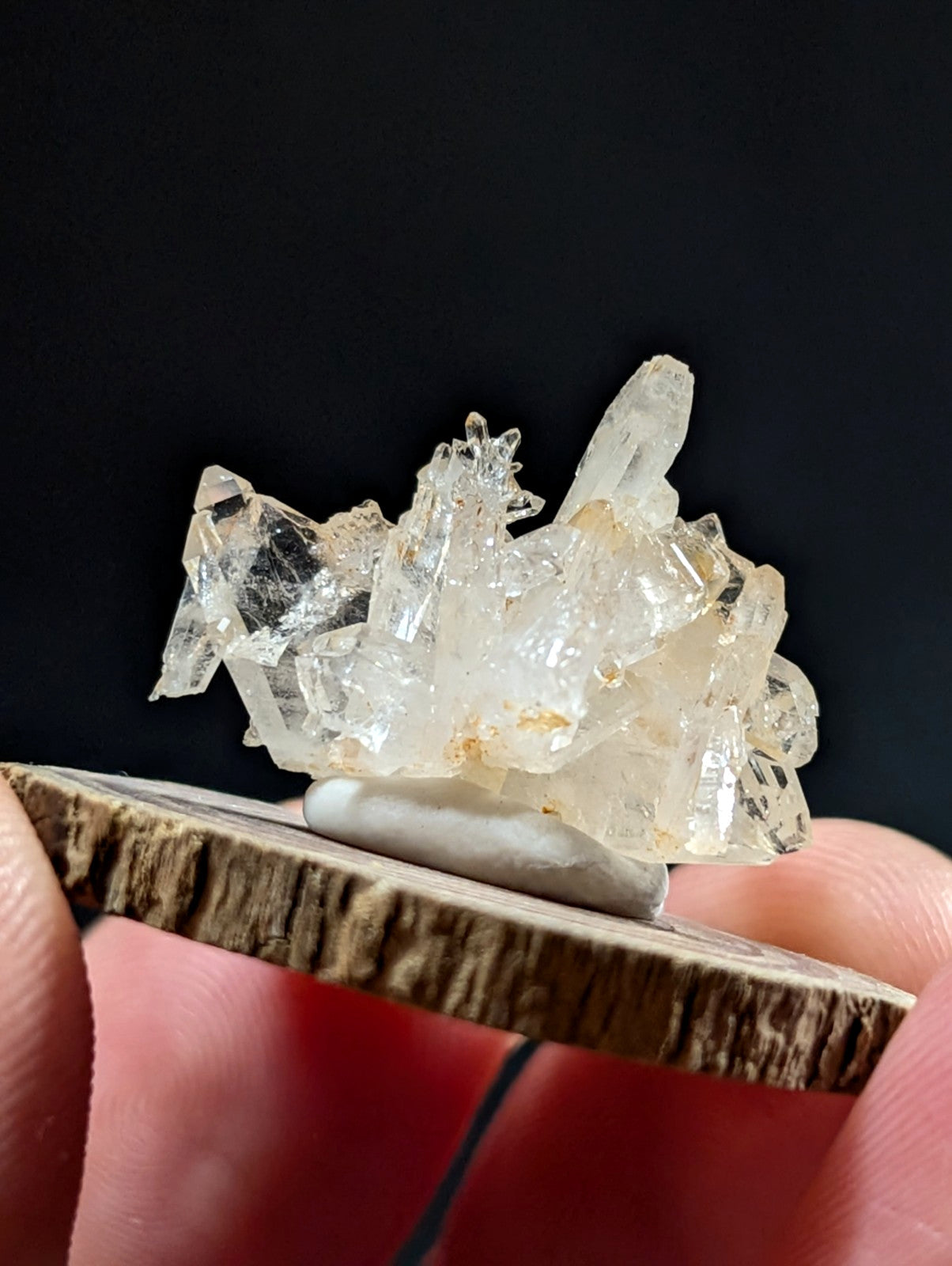 A cluster of translucent clear faden quartz crystals with golden inclusions on a wooden base from montgomery county arkansas