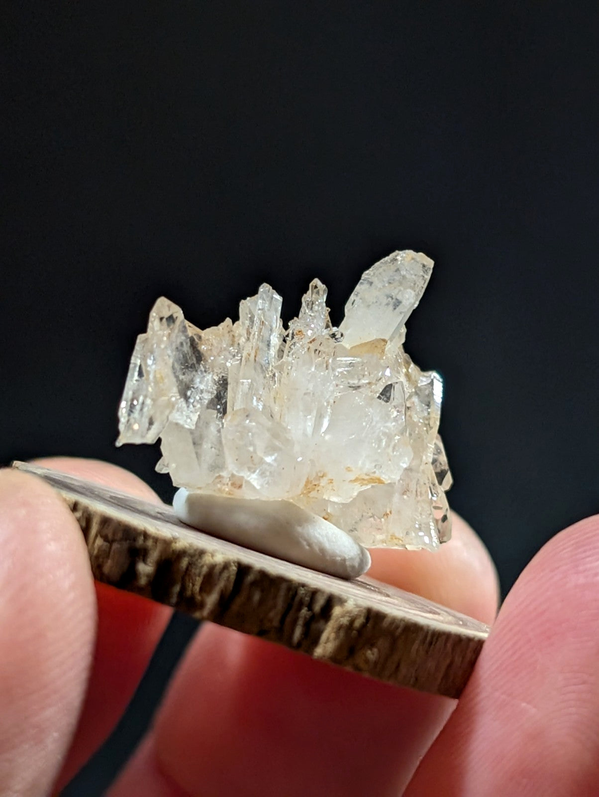 Faden quartz crystal cluster with translucent milky facets on white stone base from Montgomery County Arkansas