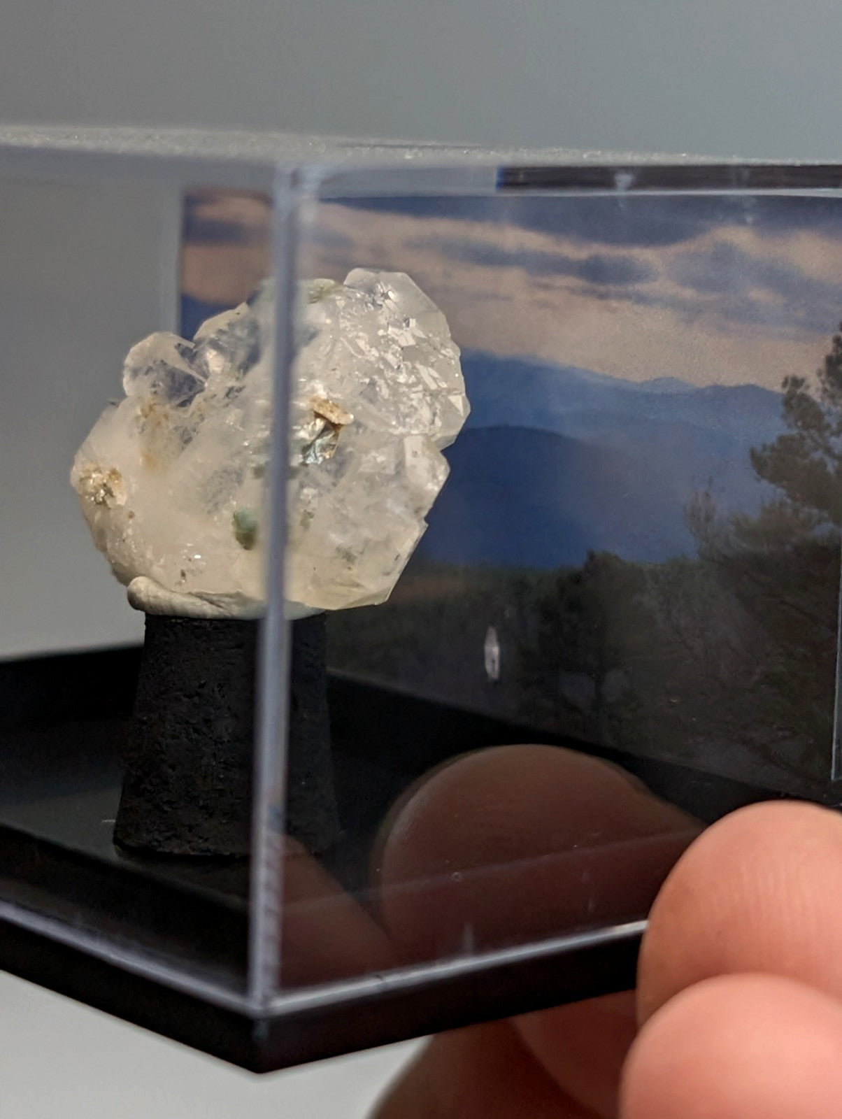 A translucent faden quartz crystal with embedded golden flecks and uv reactive blue-green cookeite on a black pedestal