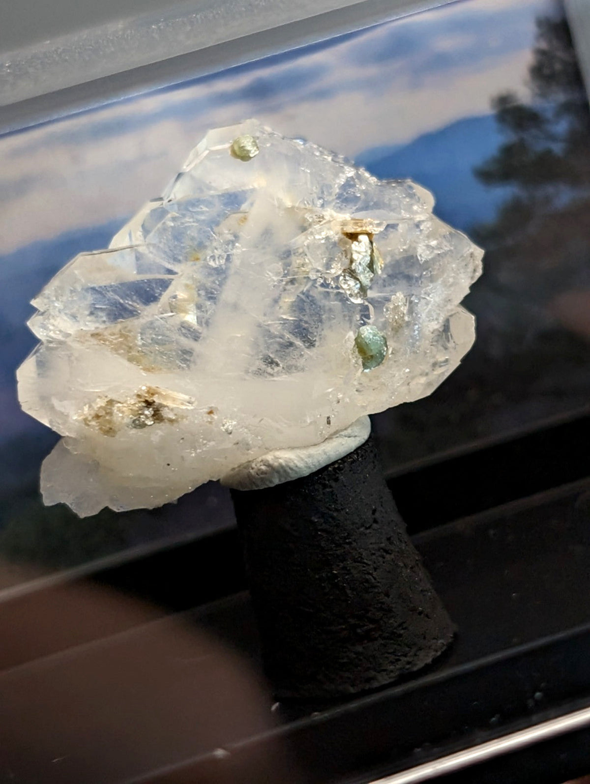 Faden quartz crystal with uv reactive blue-green cookeite showing translucent mineral with golden and green inclusions on black base