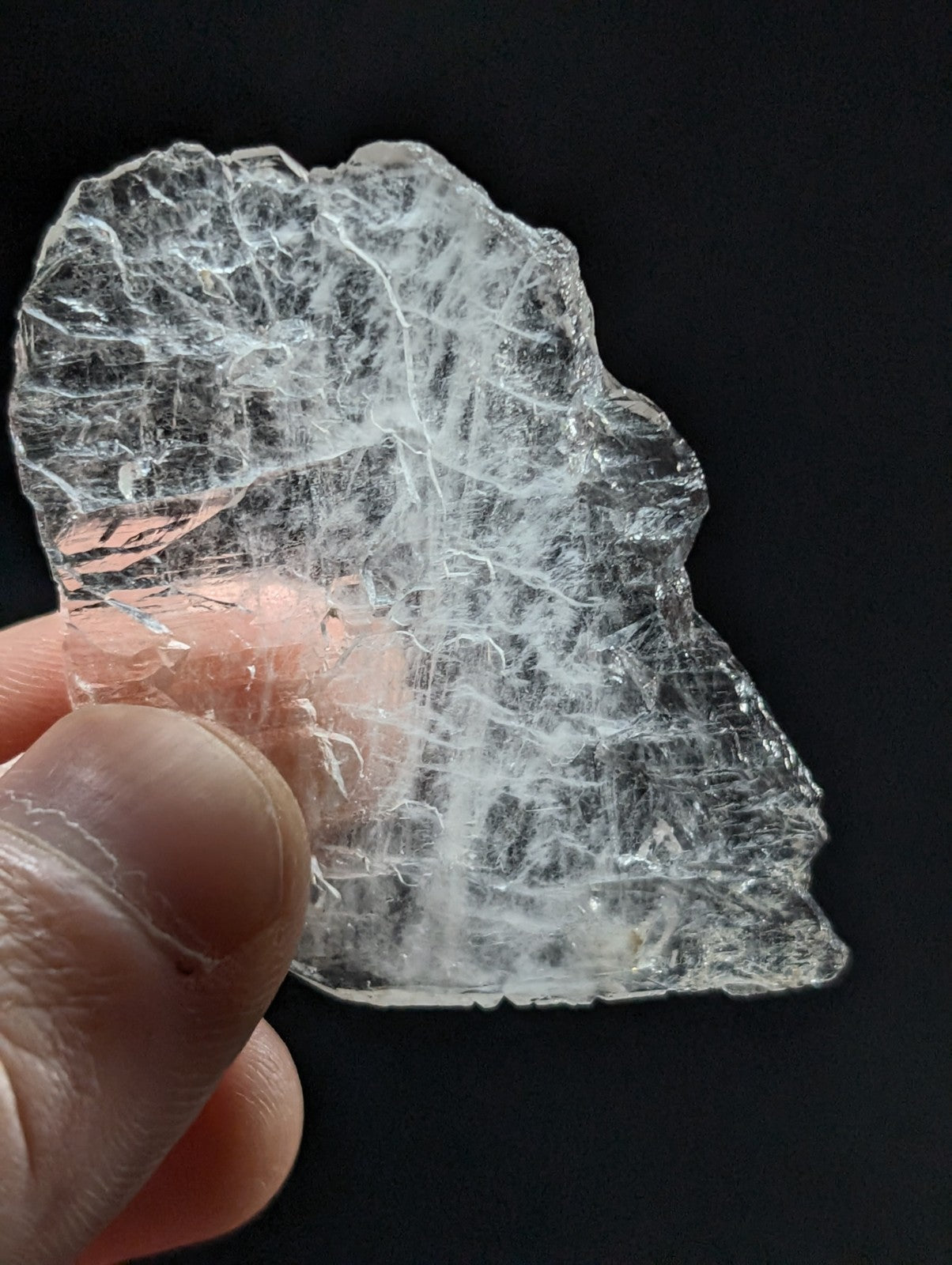 A translucent, clear crystal fragment with a web-like internal pattern and jagged edges.