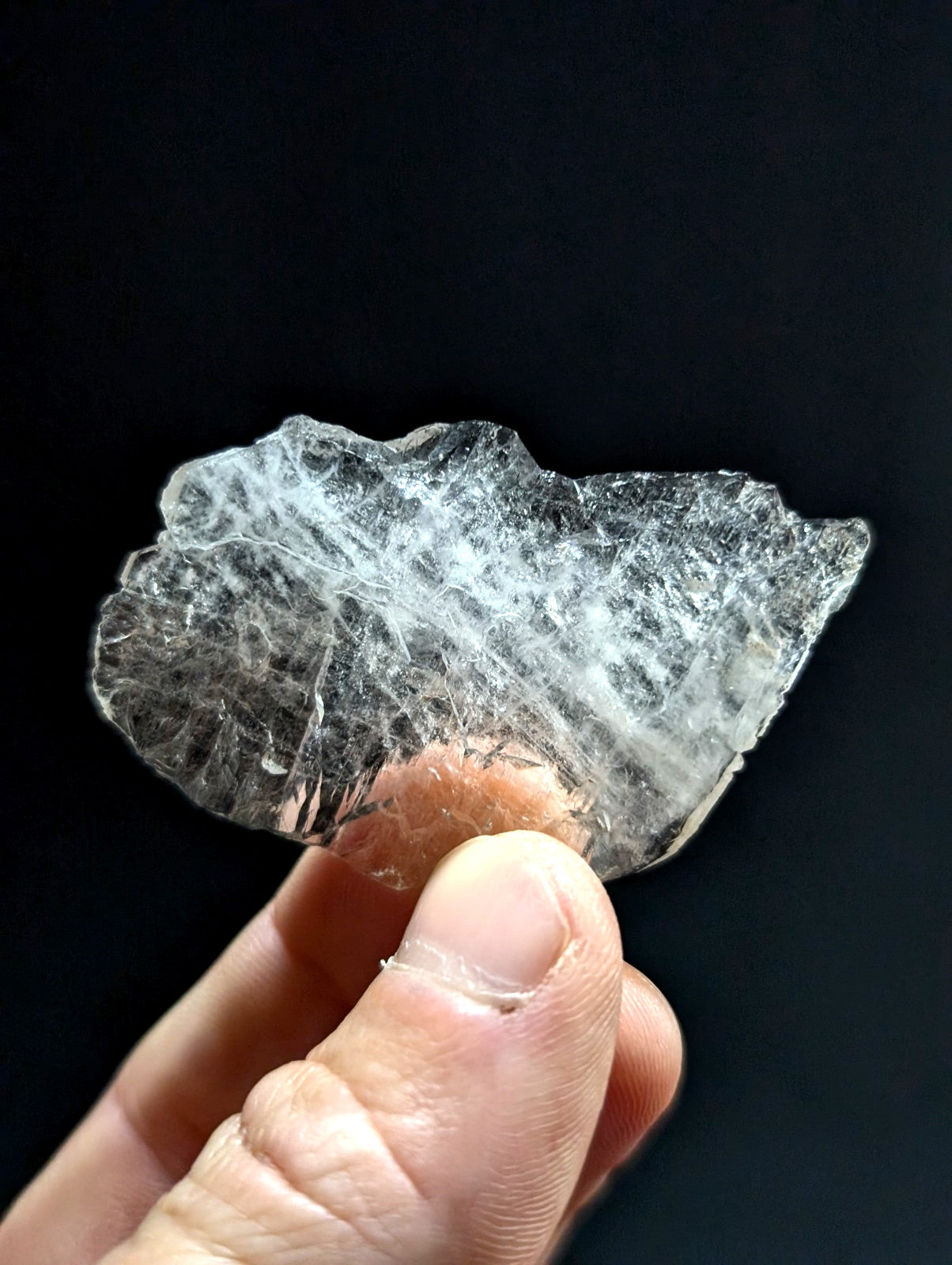 A translucent, irregularly shaped crystal with a web-like internal pattern and subtle white veining.