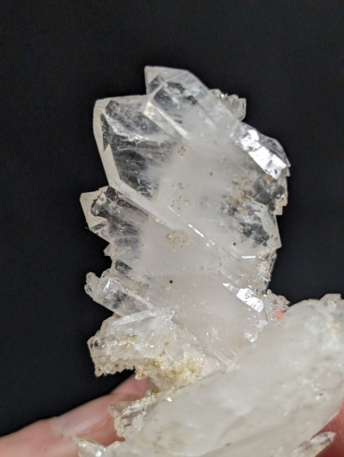 A cluster of clear, translucent quartz crystals with sharp facets and some golden mineral inclusions.