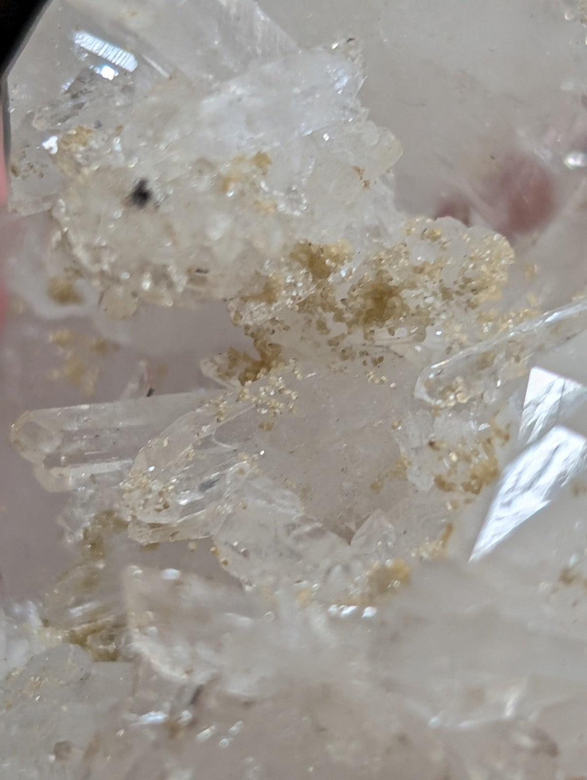 A cluster of translucent white quartz crystals with golden mineral inclusions.