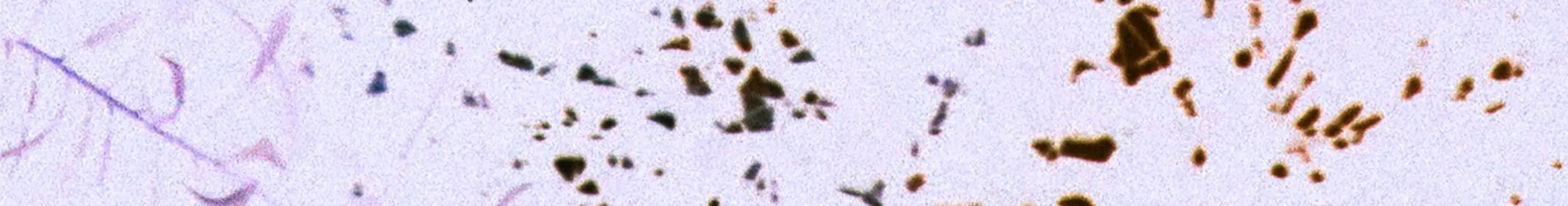 The image shows a faint, abstract pattern of dark brown and black speckles scattered across a pale lavender background.