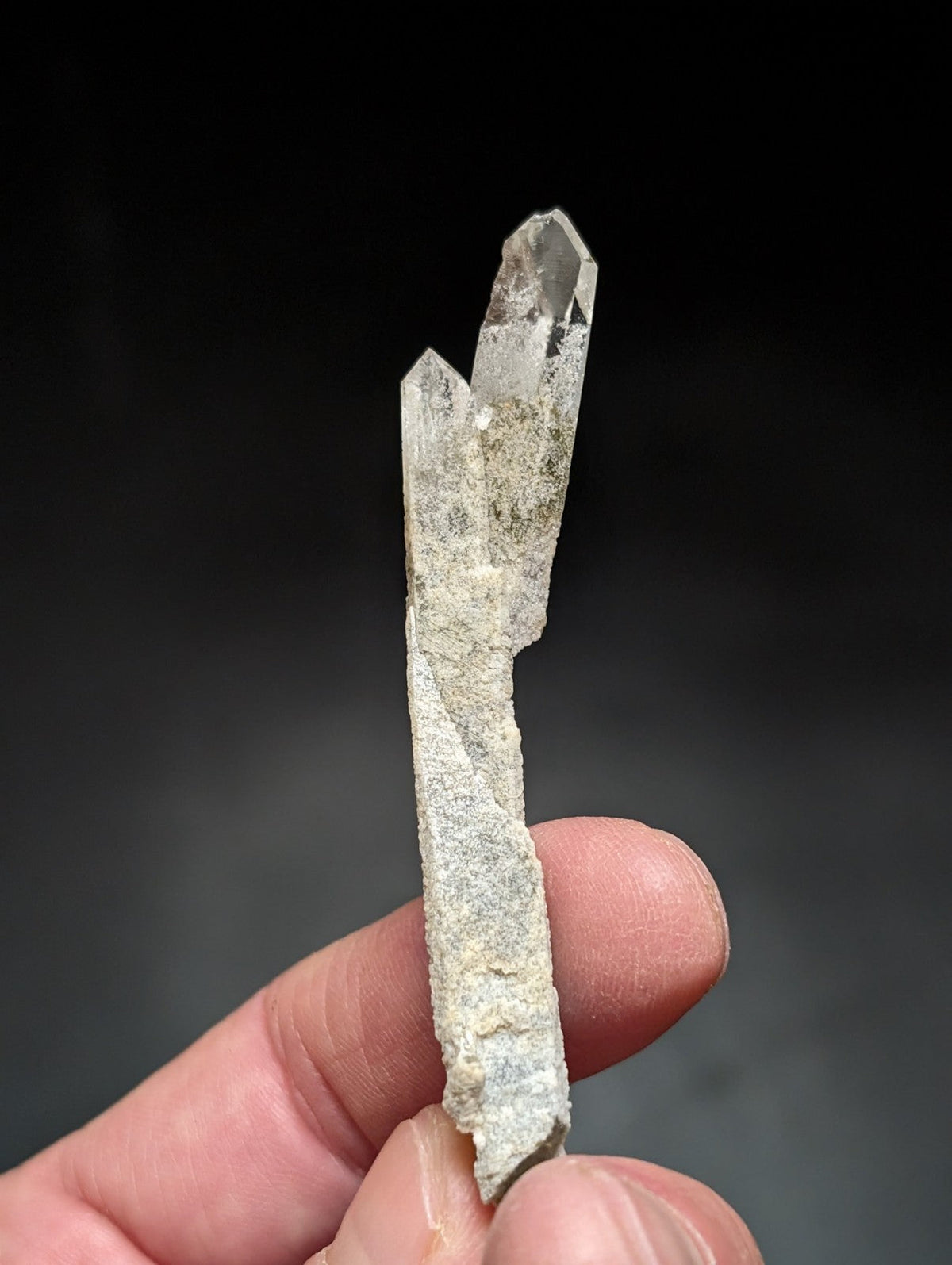A translucent quartz crystal cluster with three pointed tips, embedded in a rough gray matrix.