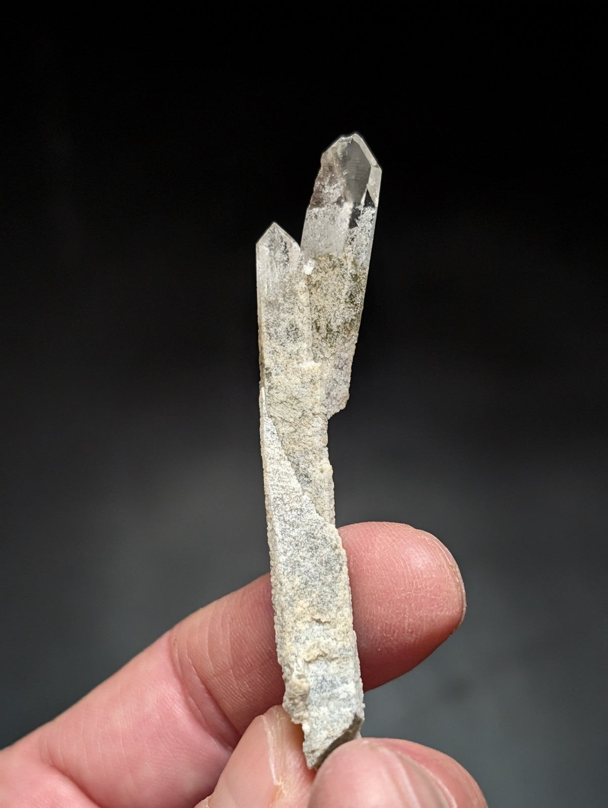 A translucent quartz crystal cluster with three pointed tips, embedded in a rough gray matrix.