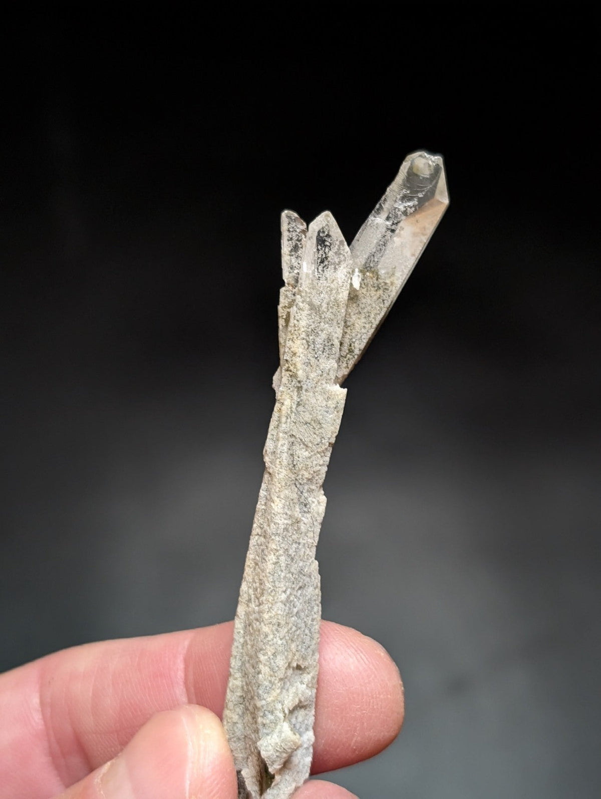 A translucent, clear quartz crystal cluster with sharp, pointed terminations emerging from a rough, grayish matrix base.