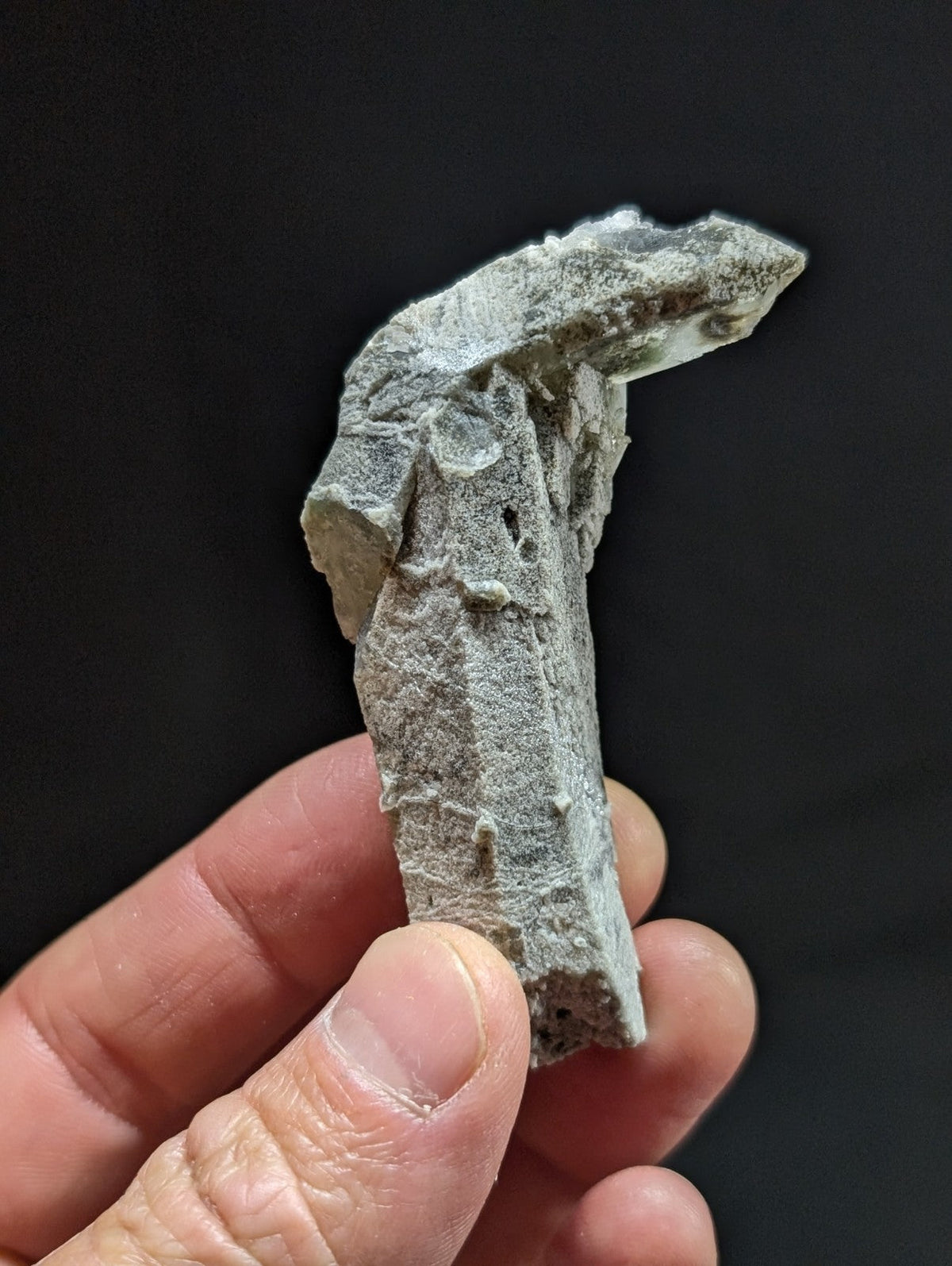 A weathered, gray stone fragment with a rough texture and irregular edges.