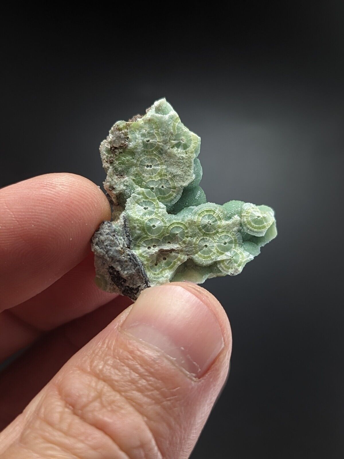 Fine A + Wavellite - Fantastic Old Stock - Mauldin Mountain Arkansas ooak - Collectibles:Rocks Fossils &