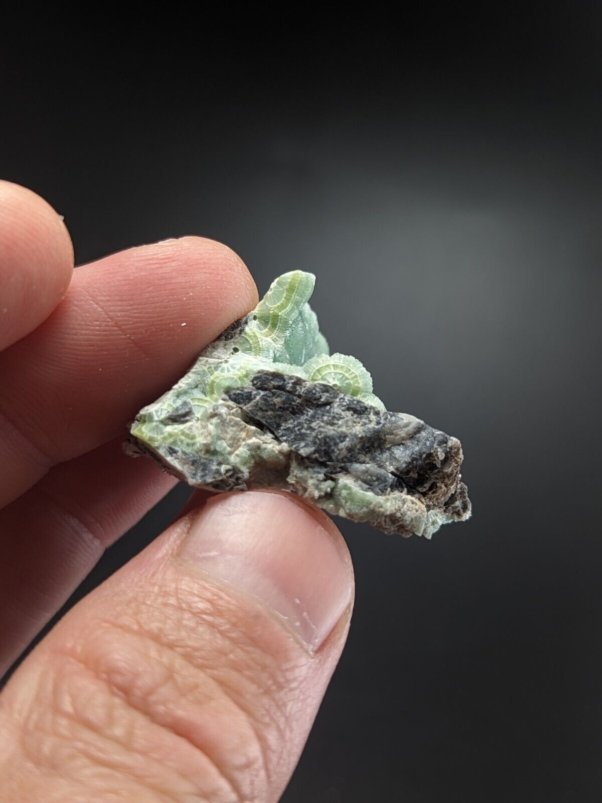 Fine A + Wavellite - Fantastic Old Stock - Mauldin Mountain Arkansas ooak - Collectibles:Rocks Fossils &