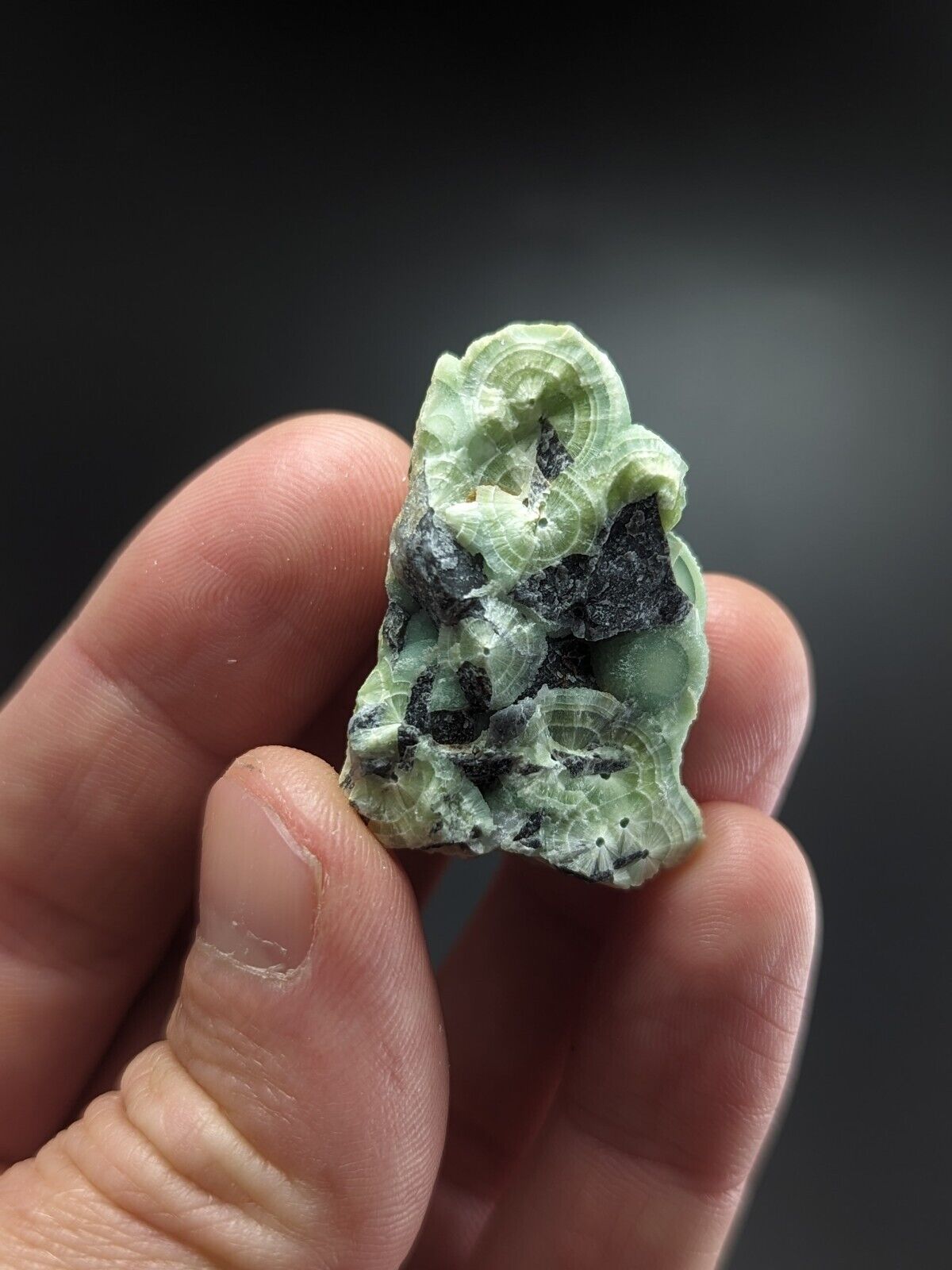 Fine Wavellite - Fantastic Old Stock - Mauldin Mountain Arkansas ooak A + + + - Collectibles:Rocks Fossils &