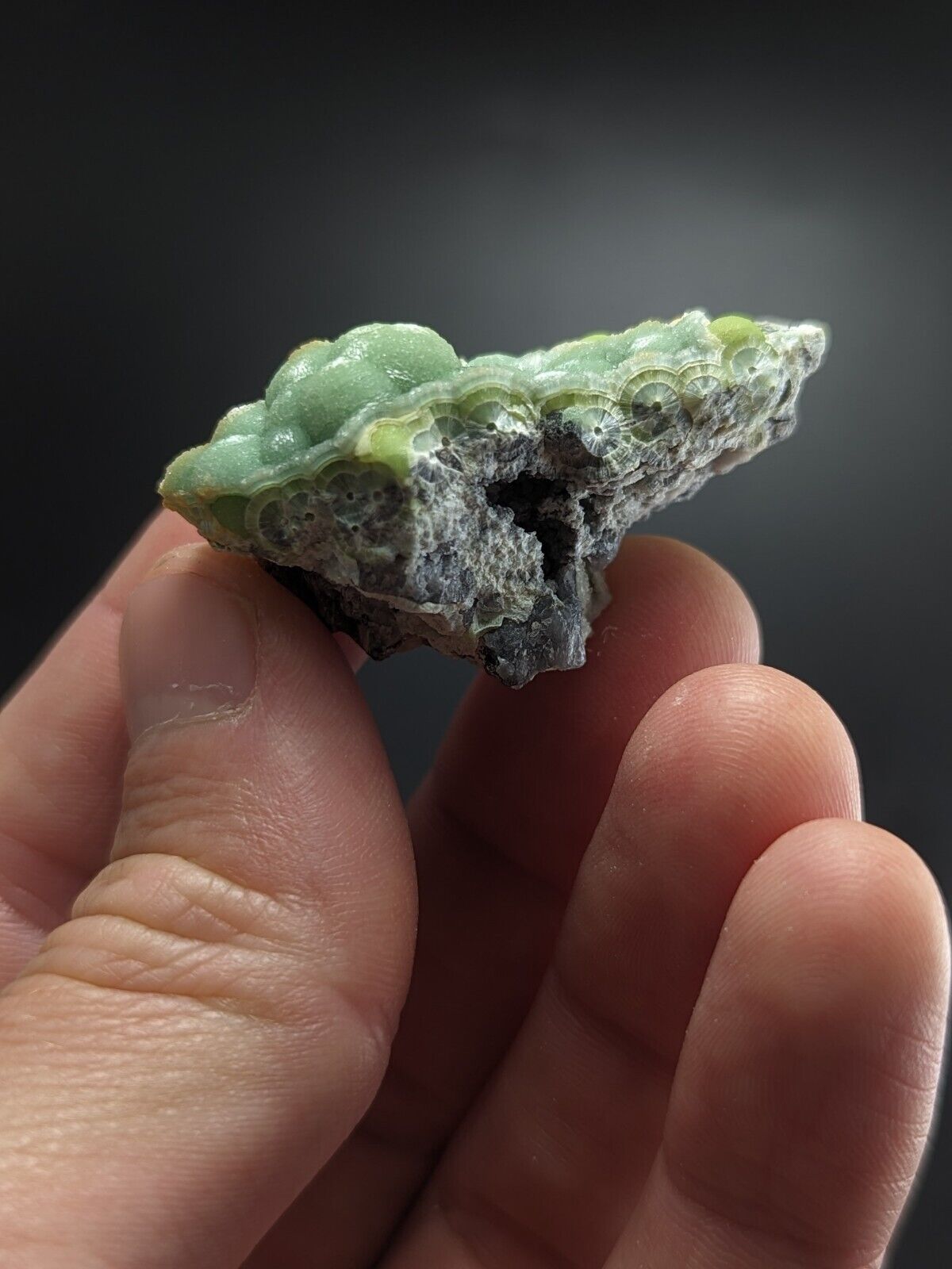 Fine Wavellite - Fantastic Old Stock - Mauldin Mountain Arkansas ooak - Collectibles:Rocks Fossils & Minerals:Crystals