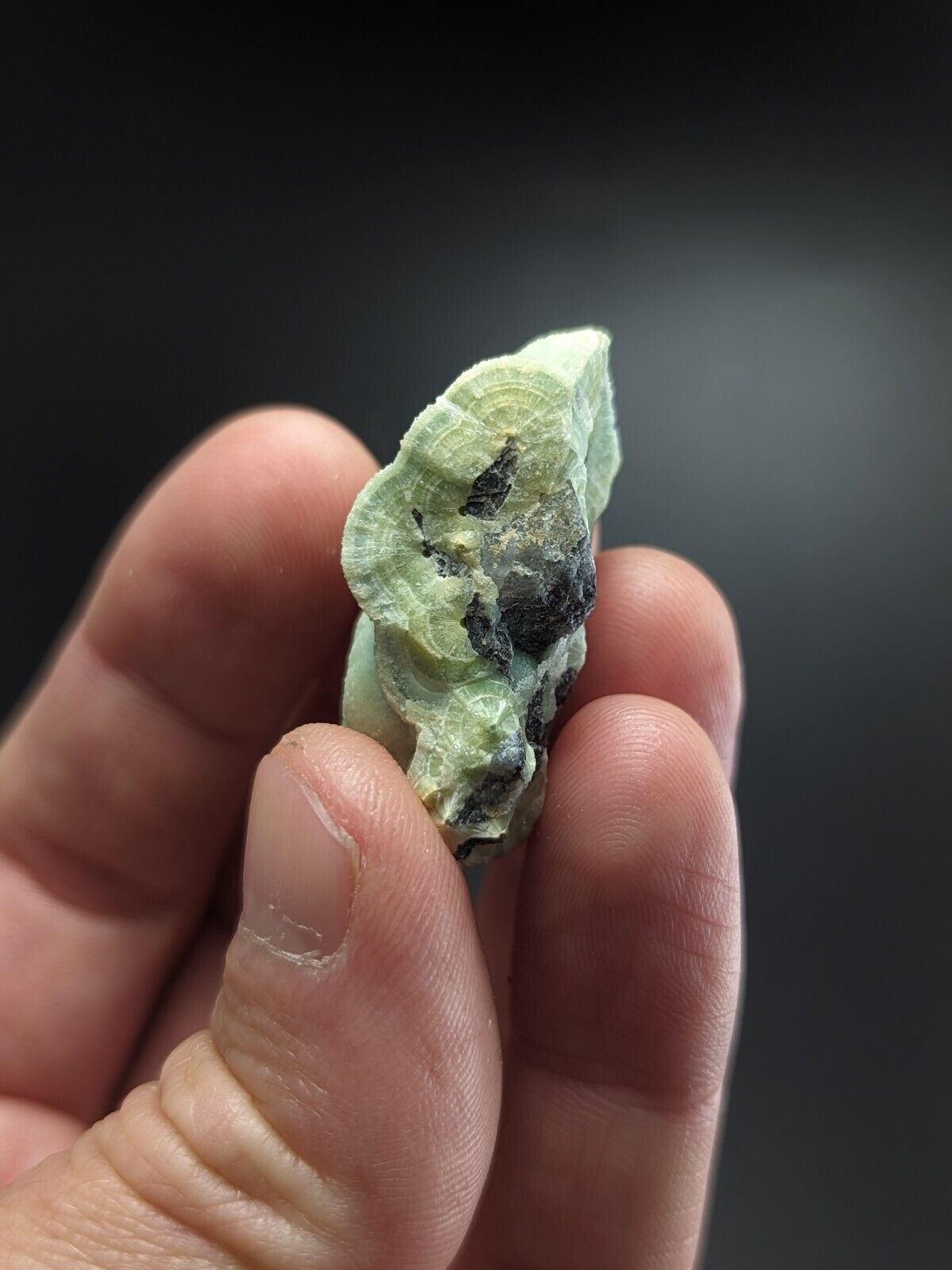Fine Wavellite - Fantastic Old Stock - Mauldin Mountain Arkansas ooak A + + + - Collectibles:Rocks Fossils &