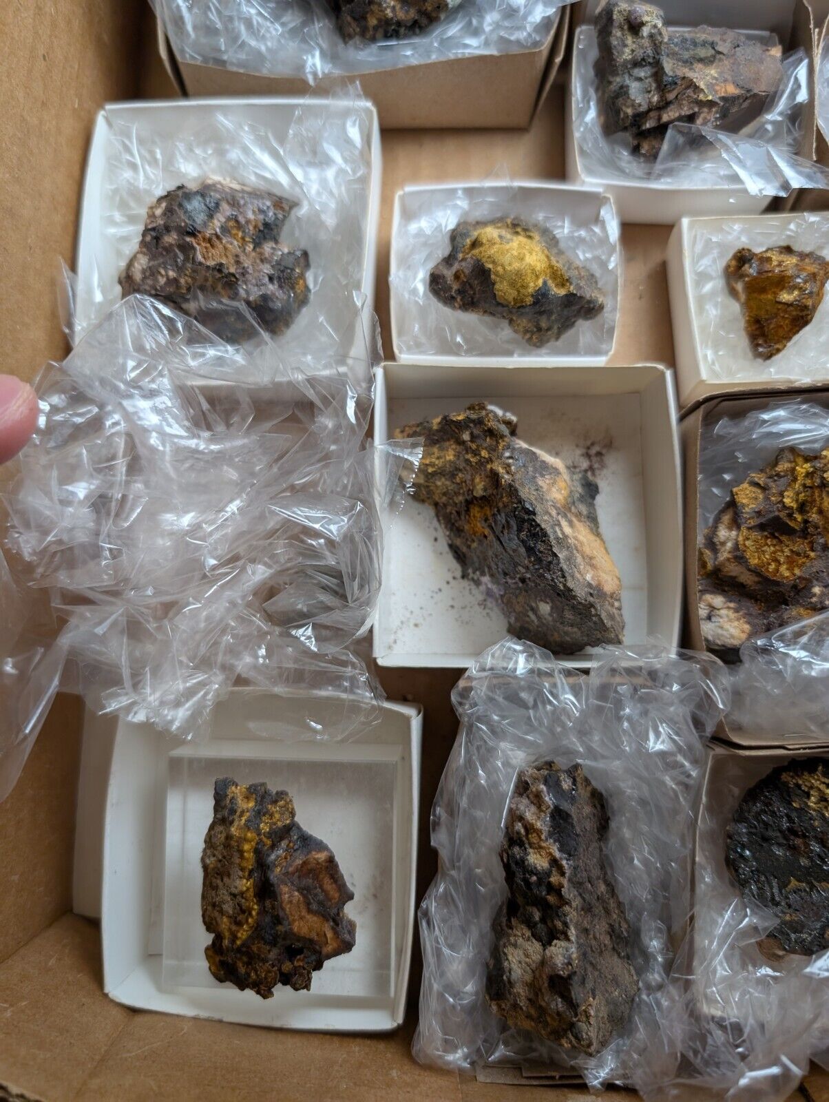 Flat of 16 Cacoxenite Kidwellite Iron Phosphate Specimens - Arkansas USA - Collectibles:Rocks Fossils &