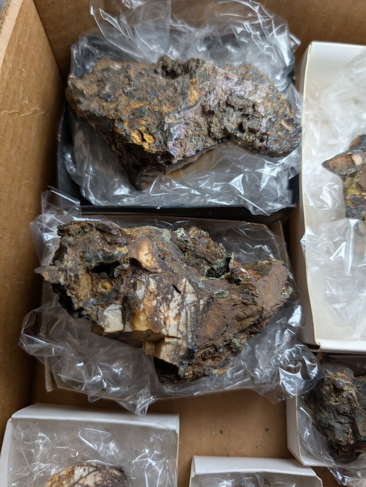 Flat of 16 Cacoxenite Kidwellite Iron Phosphate Specimens - Arkansas USA - Collectibles:Rocks Fossils &