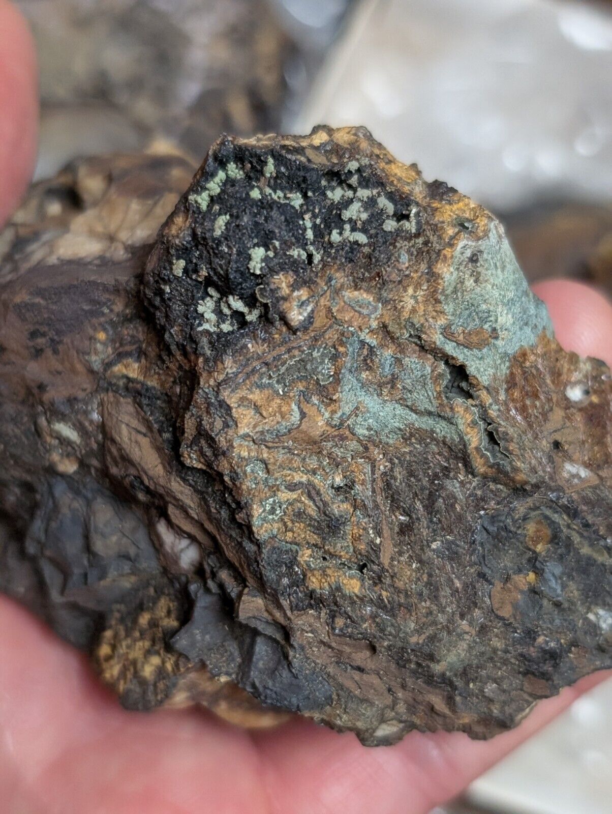 Flat of 16 Cacoxenite Kidwellite Iron Phosphate Specimens - Arkansas USA - Collectibles:Rocks Fossils &