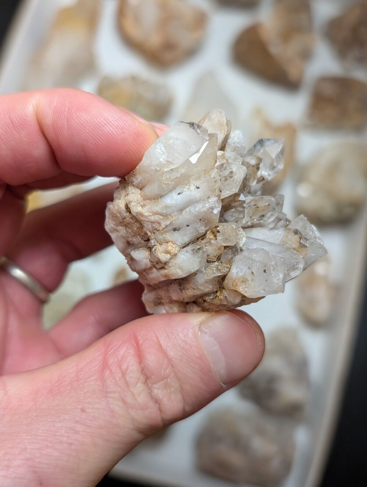Flat of 31 Natural Quartz Crystal Specimens - Arkansas USA (Clusters Points) - Collectibles:Rocks Fossils &