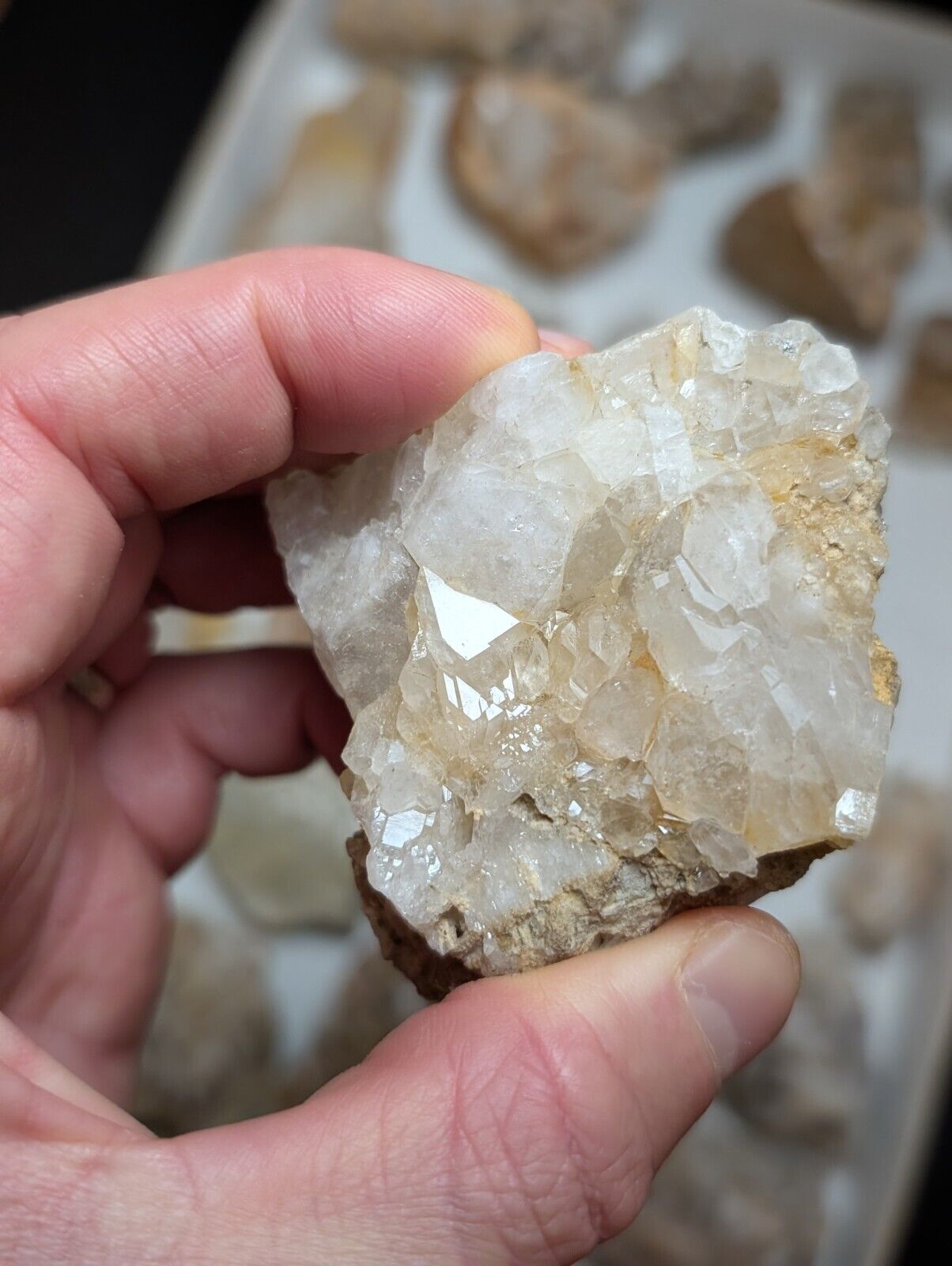 Flat of 31 Natural Quartz Crystal Specimens - Arkansas USA (Clusters Points) - Collectibles:Rocks Fossils &