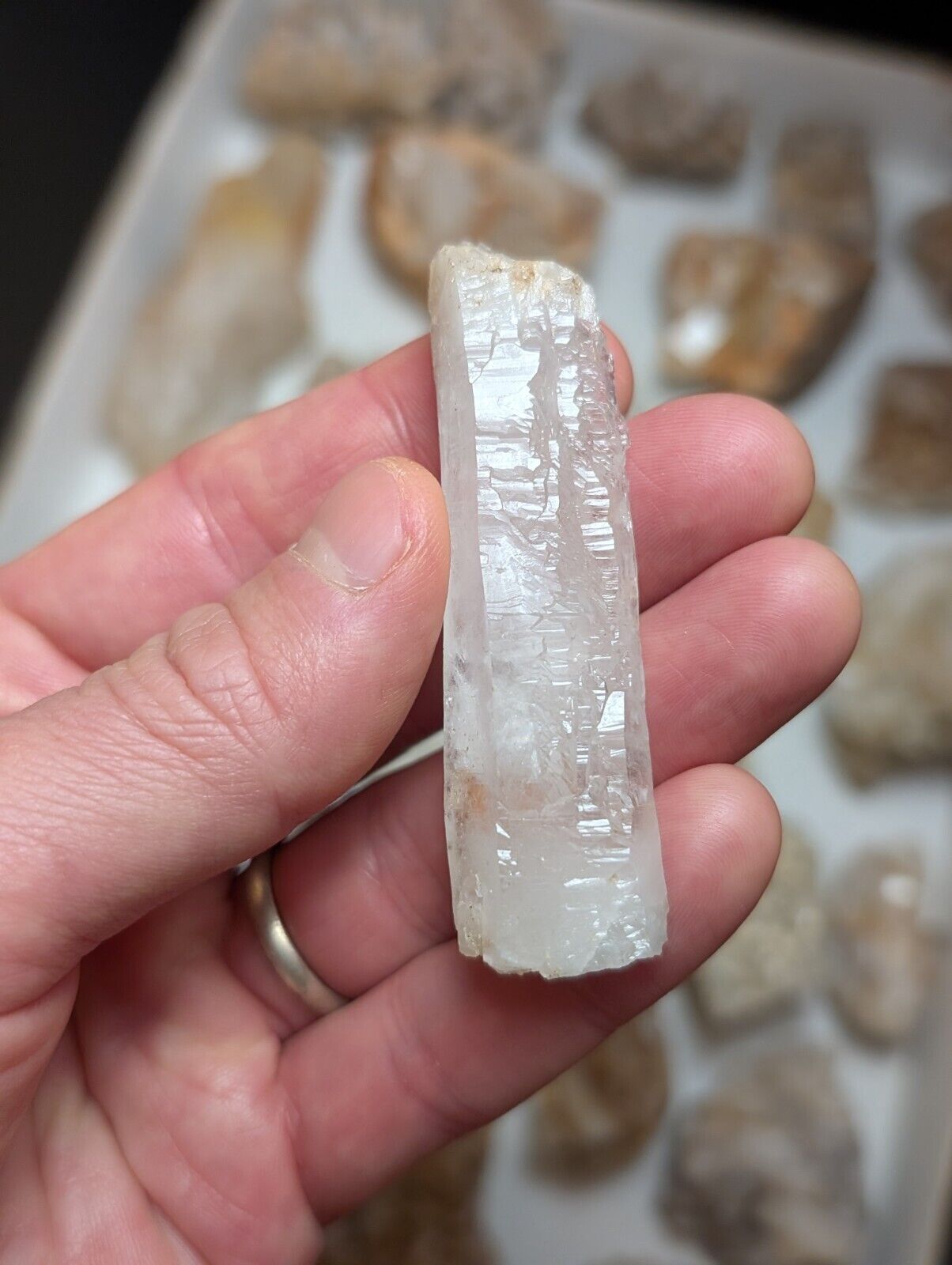 Flat of 31 Natural Quartz Crystal Specimens - Arkansas USA (Clusters Points) - Collectibles:Rocks Fossils &