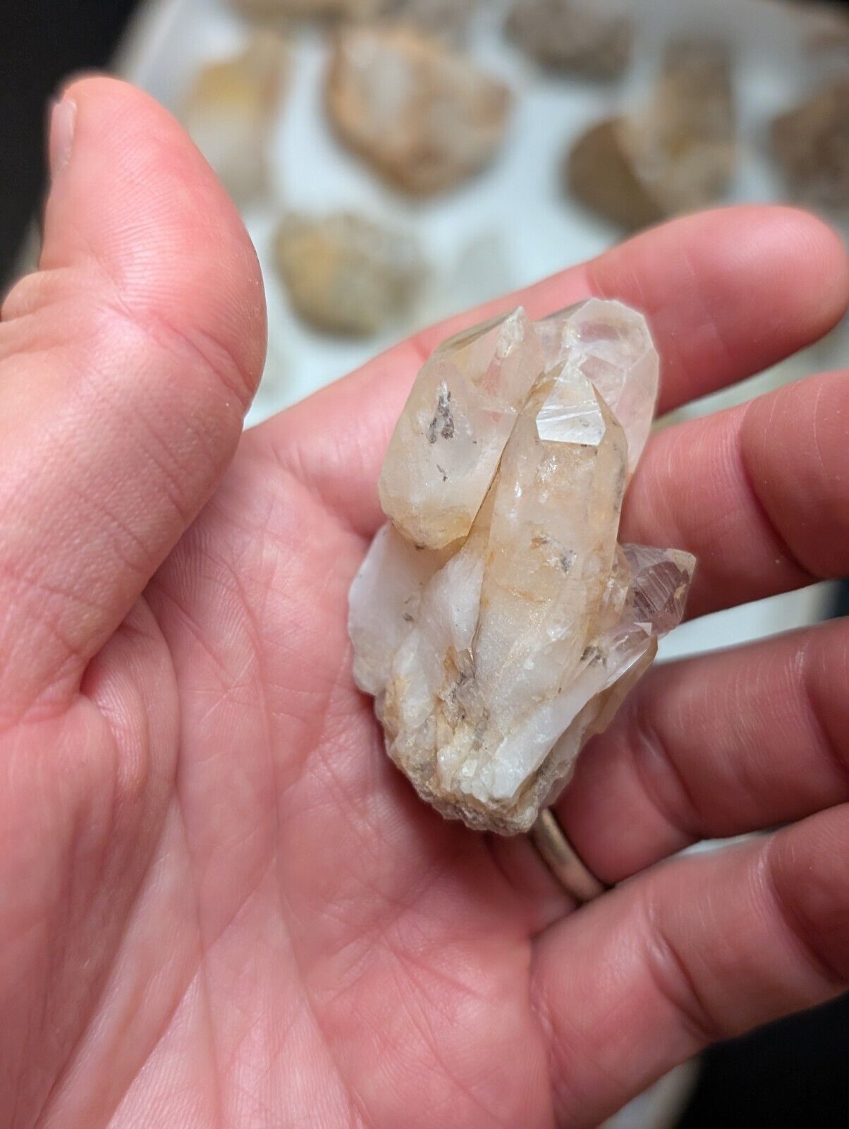 Flat of 31 Natural Quartz Crystal Specimens - Arkansas USA (Clusters Points) - Collectibles:Rocks Fossils &