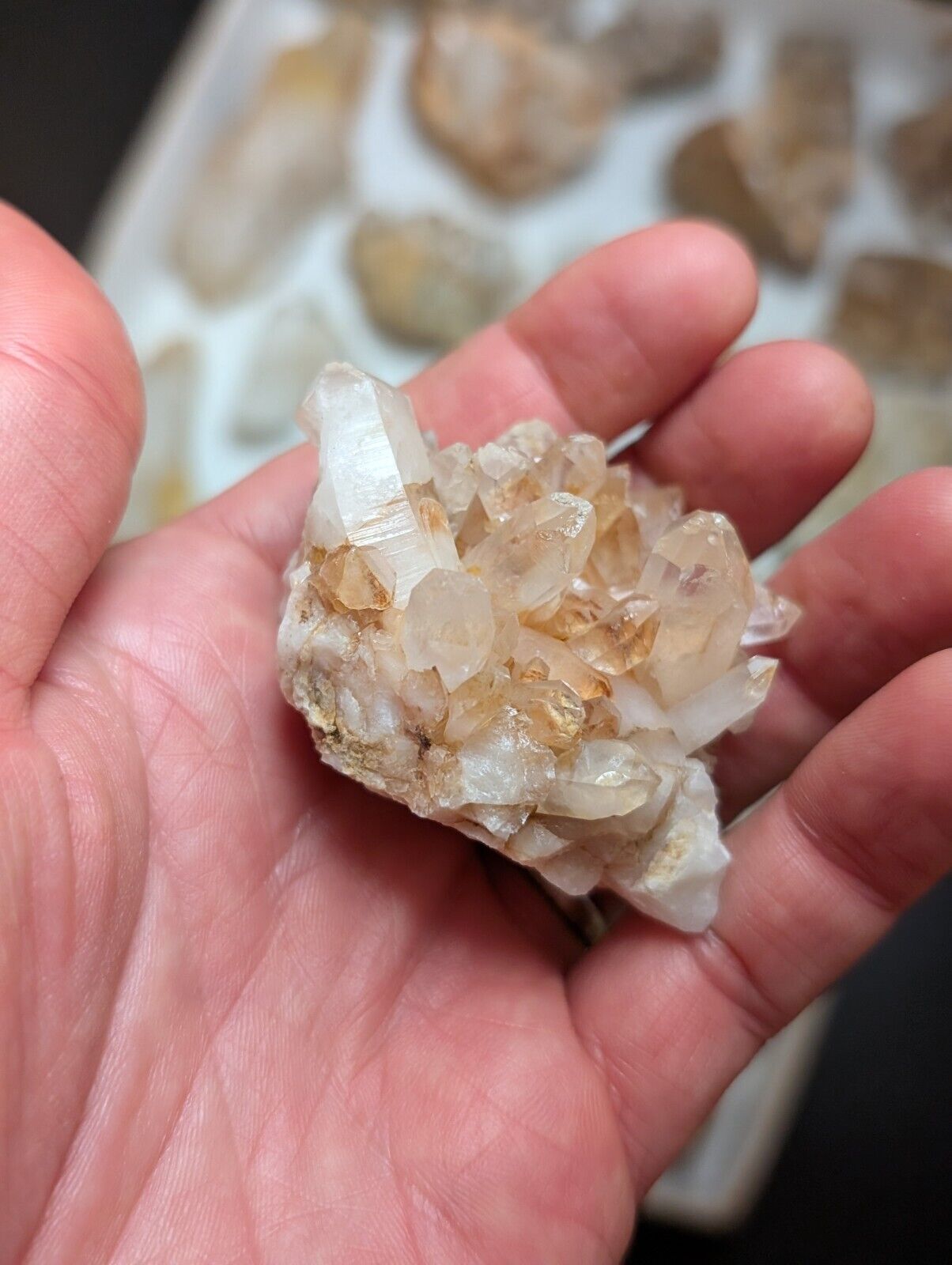 Flat of 31 Natural Quartz Crystal Specimens - Arkansas USA (Clusters Points) - Collectibles:Rocks Fossils &
